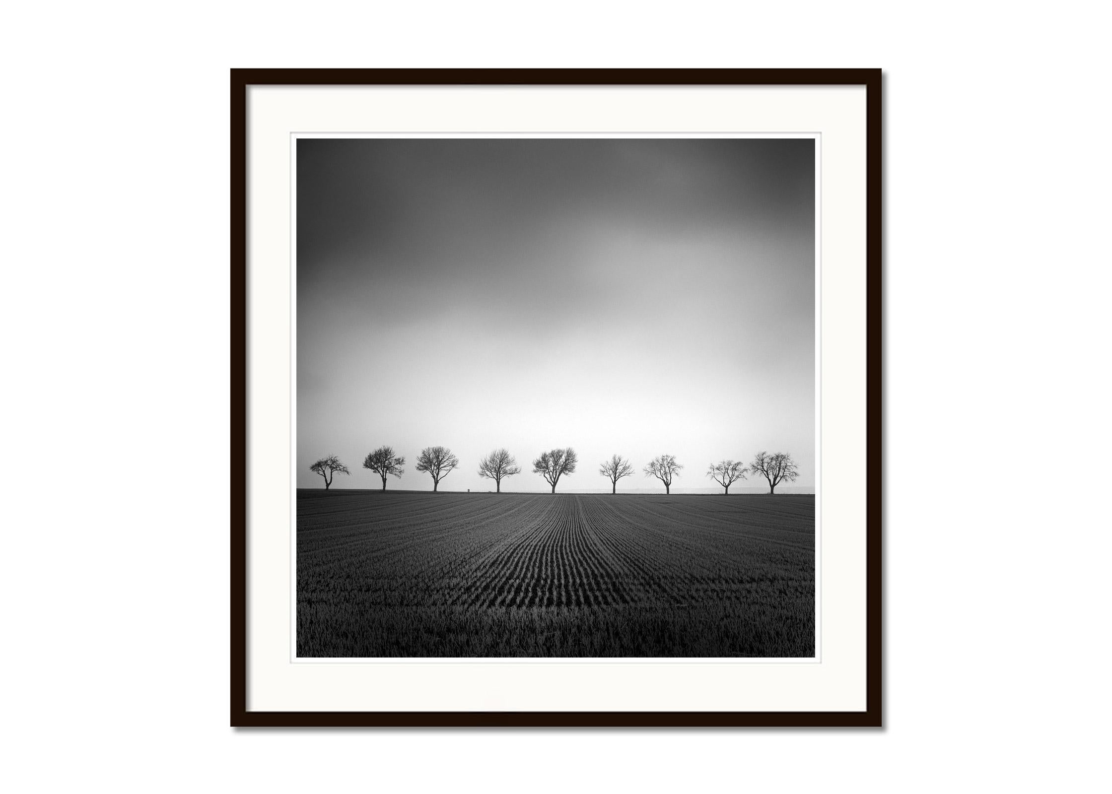 Nine Cherry Trees Corn Field black & white fine art landscape photography print - Black Landscape Photograph by Gerald Berghammer