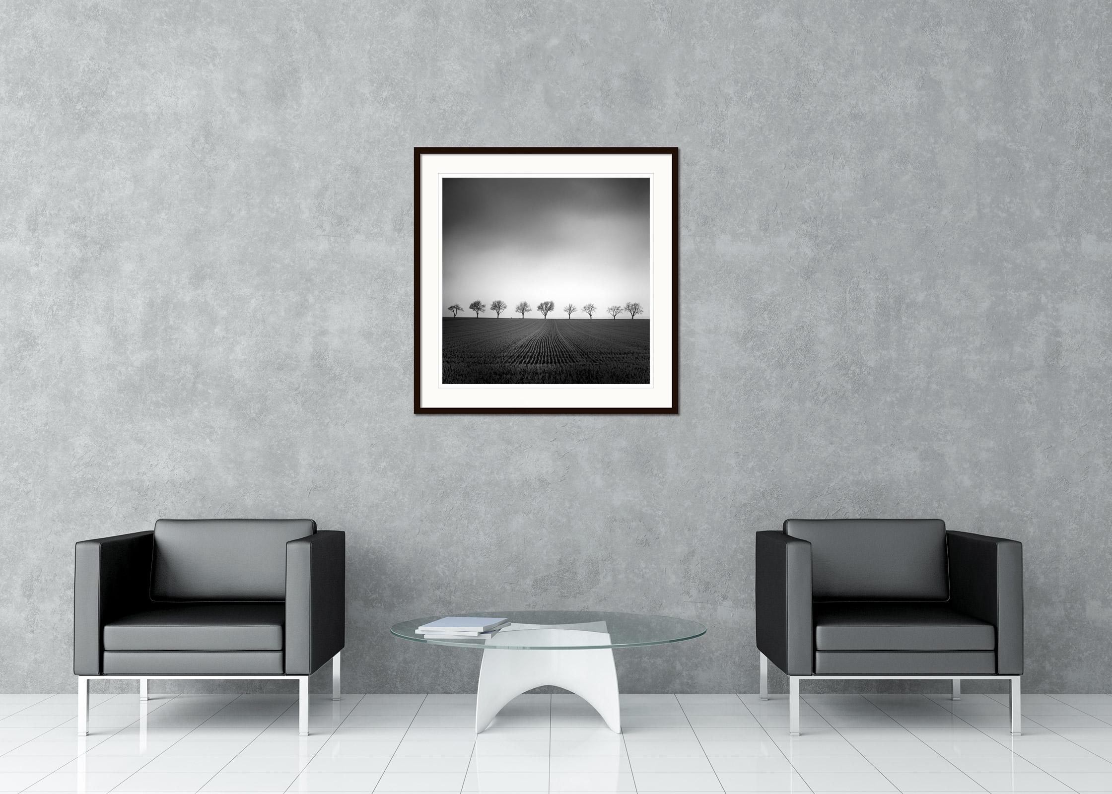 Black and White Fine Art Landscape Photography - Nine cherry trees in a row with a corn field in the foreground. Archival pigment ink print, edition of 9. Signed, titled, dated and numbered by artist. Certificate of authenticity included. Printed