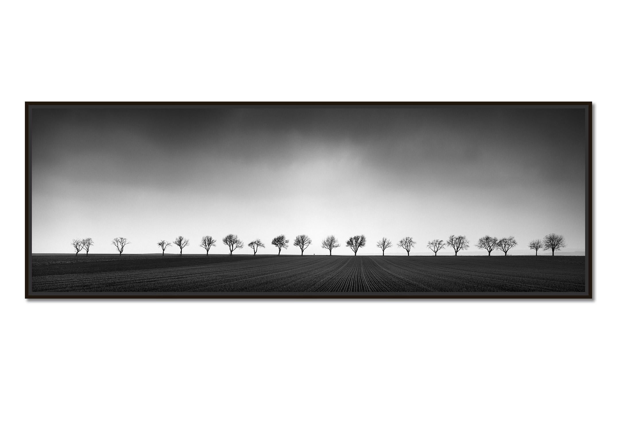 Nineteen Bäume, Österreich, Panorama, Kunst Schwarz-Weiß-Fotografie, Landschaft – Photograph von Gerald Berghammer