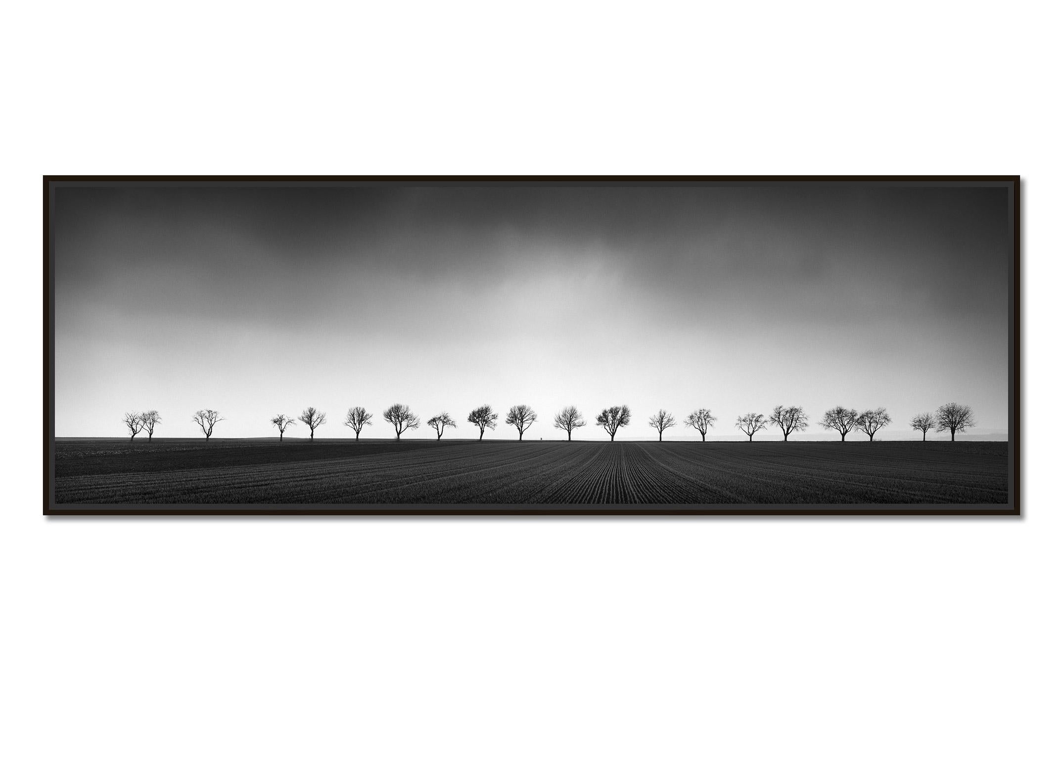 Neunzehn Bäume, Österreich, Panorama, Kunst Schwarz-Weiß-Fotografie, Landschaft – Photograph von Gerald Berghammer