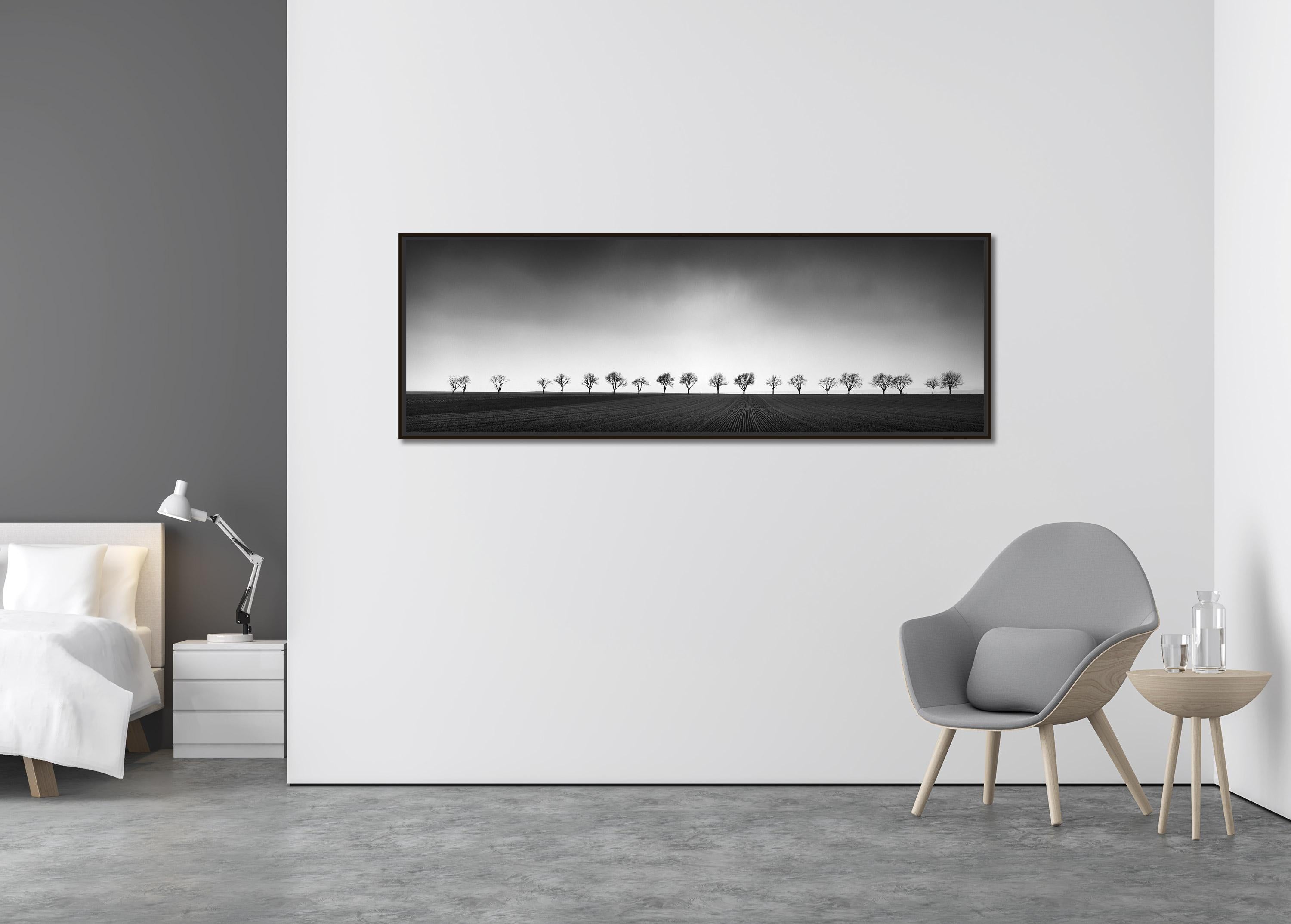 Nineteen Bäume, Österreich, Panorama, Kunst Schwarz-Weiß-Fotografie, Landschaft (Abstrakt), Photograph, von Gerald Berghammer