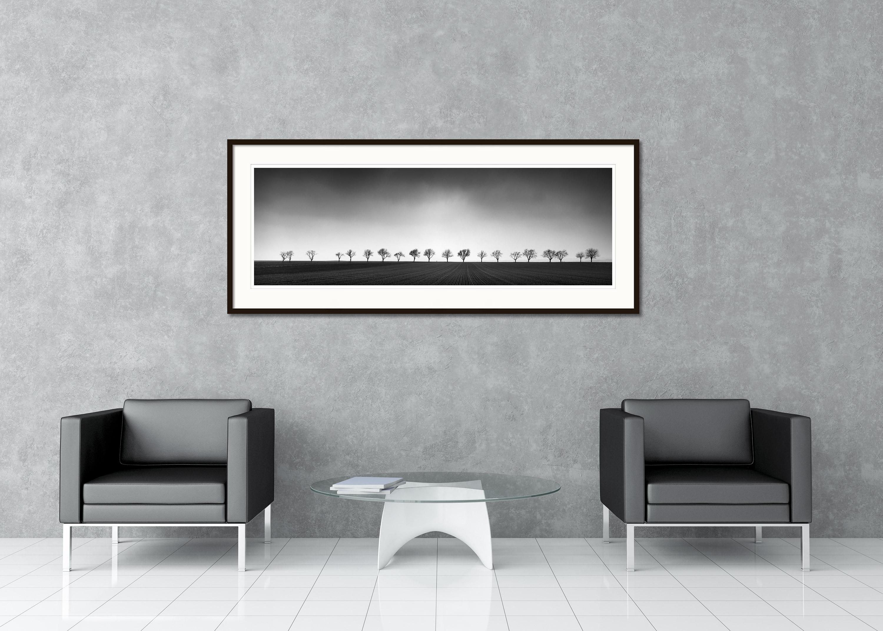 Neunzehn Bäume, Österreich, Panorama, Kunst Schwarz-Weiß-Fotografie, Landschaft im Angebot 1