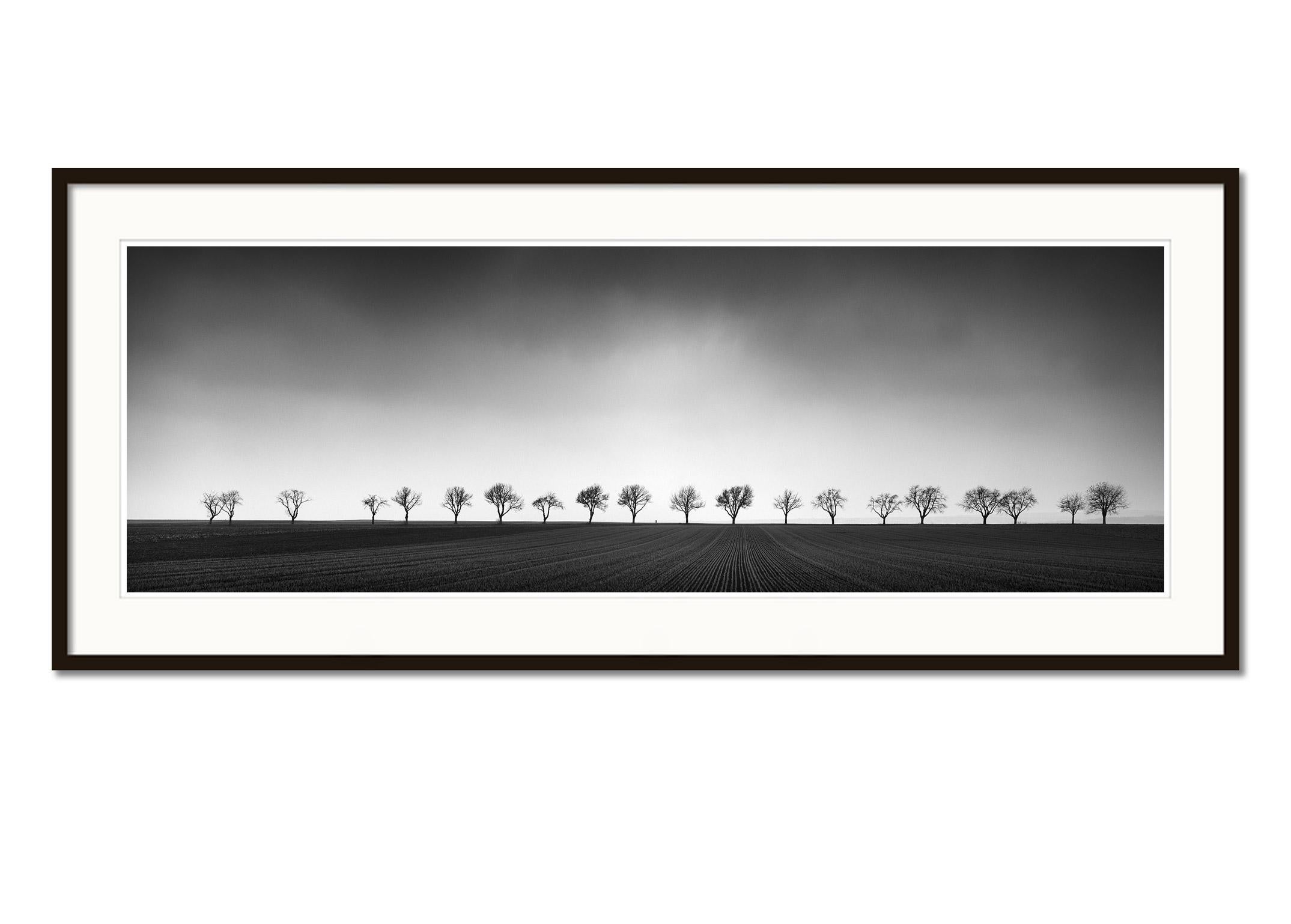 Nineteen Trees, Austria, panorama, art black and white photography, landscape - Black Black and White Photograph by Gerald Berghammer