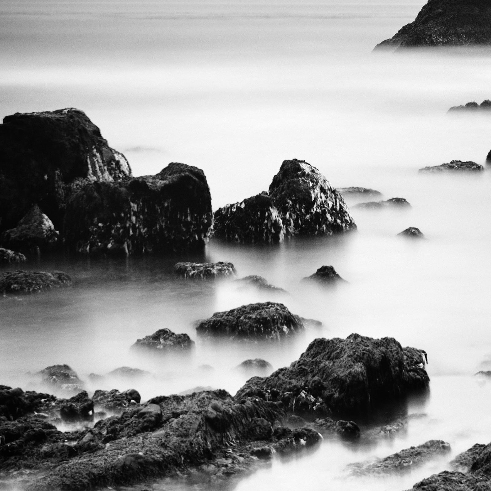 North Pacific Coast, California, USA, black and white photography, landscape For Sale 4