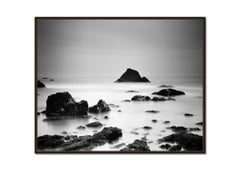 Costa del Pacifico settentrionale, California, USA, fotografia in bianco e nero, paesaggio