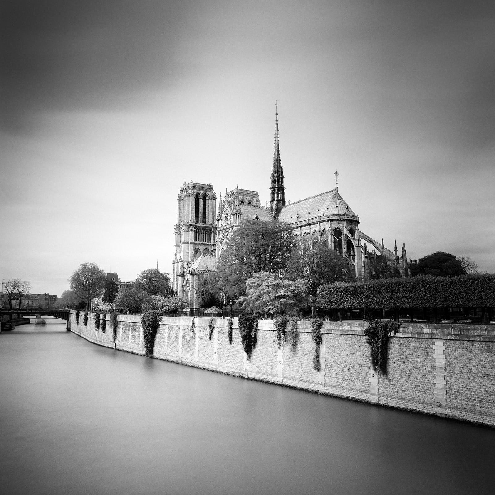 Notre Dame, Daylight, Seine, Paris France, black and white landscape photography