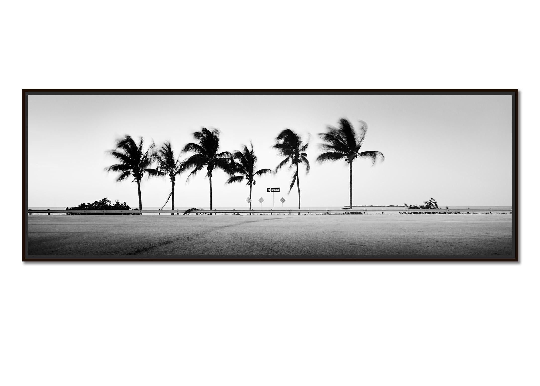 ONE WAY Panorama, Palm Tree, Florida, USA, black and white landscape photography - Photograph by Gerald Berghammer
