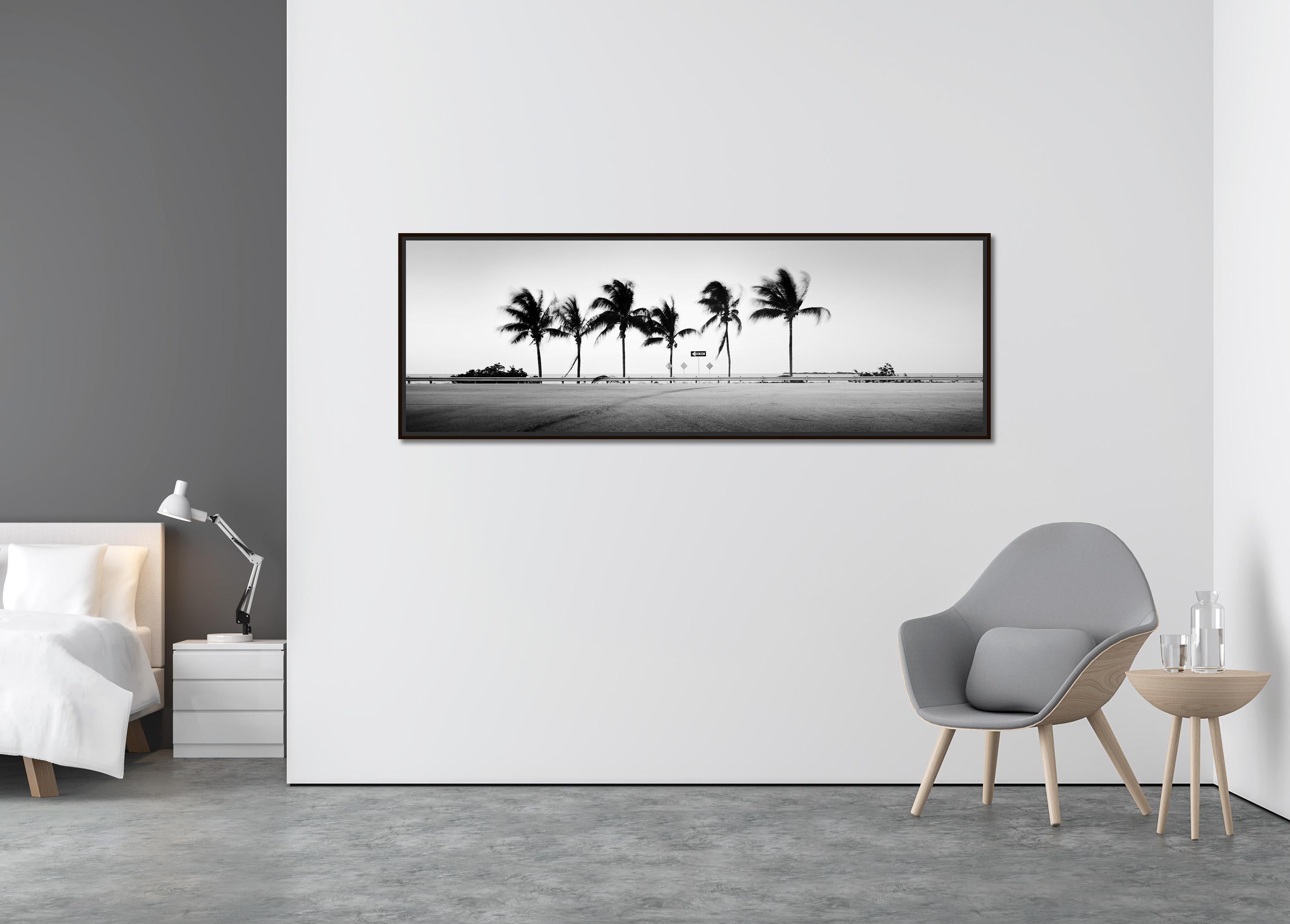 ONE WAY Panorama, Palm Tree, Florida, USA, black and white landscape photography - Contemporary Photograph by Gerald Berghammer
