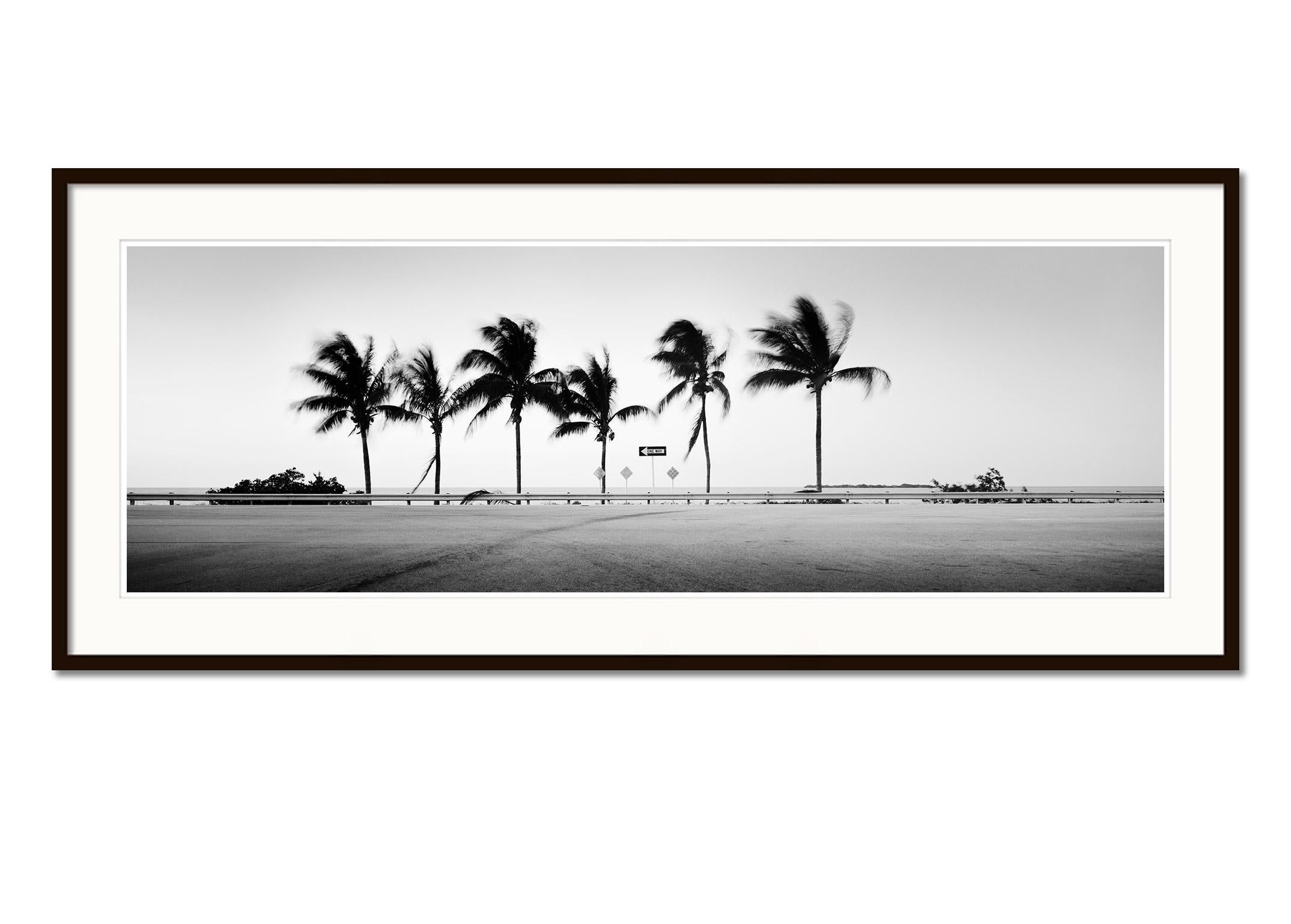 ONE WAY Panorama, Palm Tree, Florida, USA, black and white landscape photography - Gray Black and White Photograph by Gerald Berghammer
