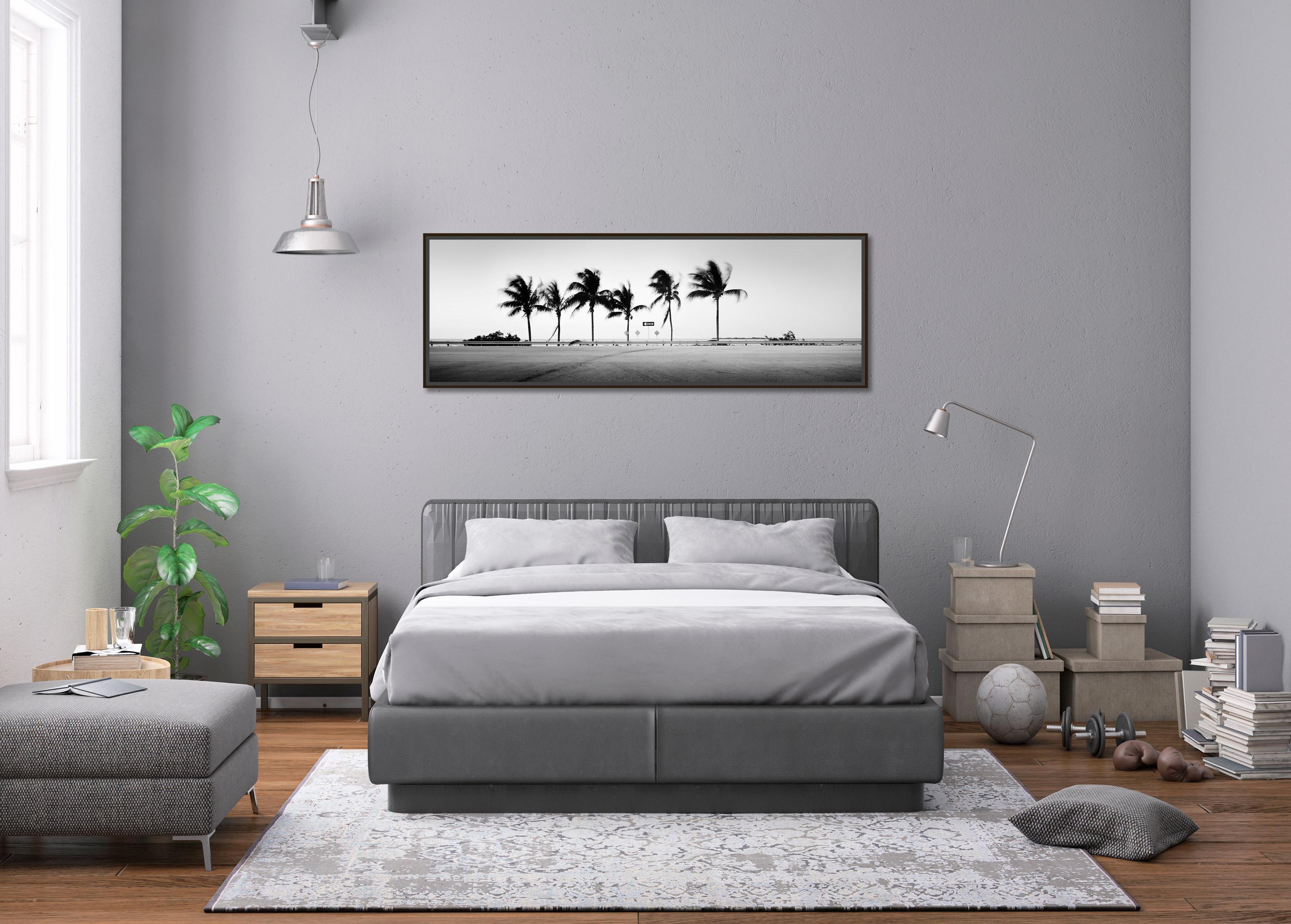 ONE WAY Panorama, Palm Tree, Florida, USA, black and white landscape photography For Sale 1