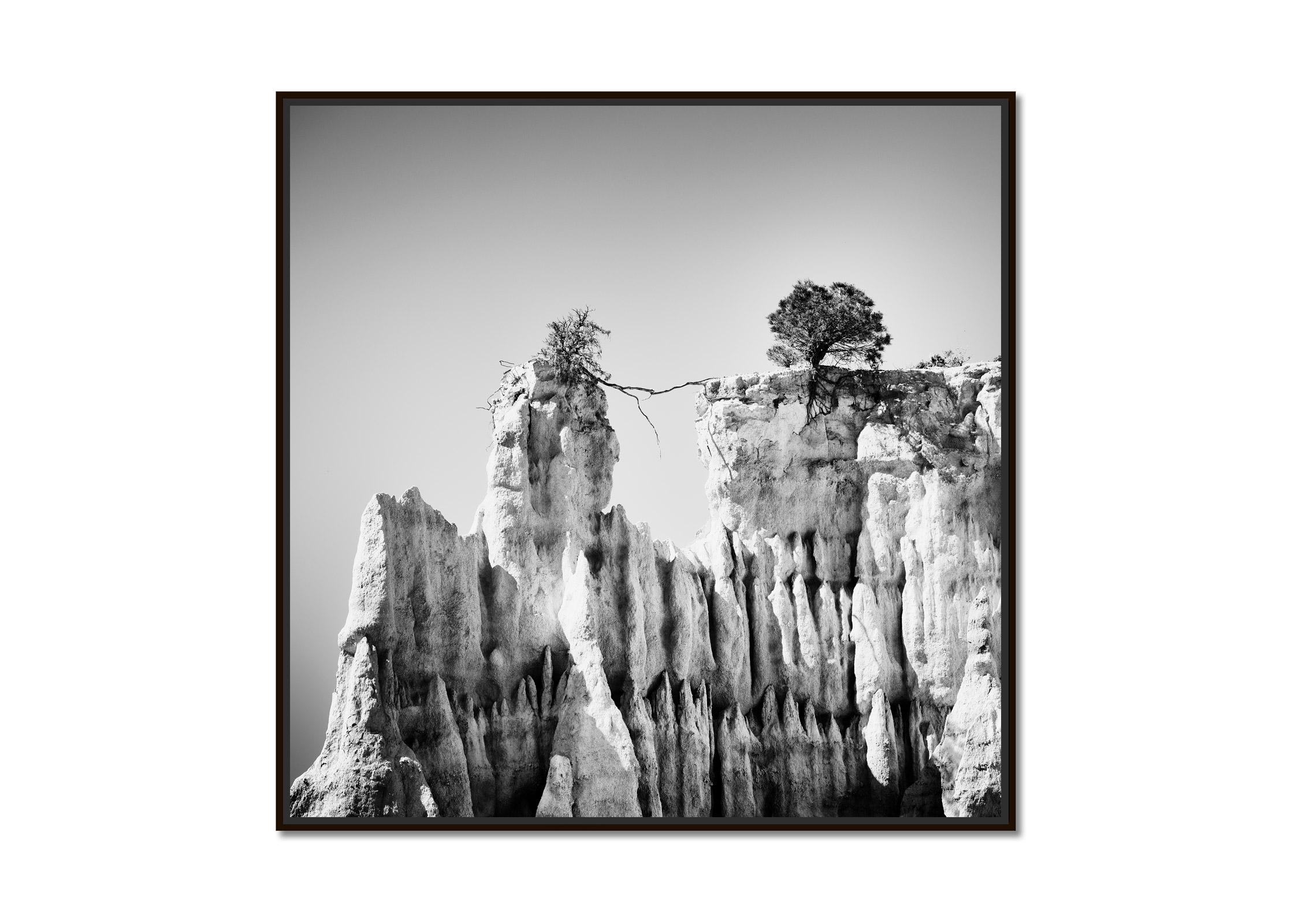 Organs of Ille-sur-Tet, Organ Pipes, black and white art photography, landscape - Photograph by Gerald Berghammer
