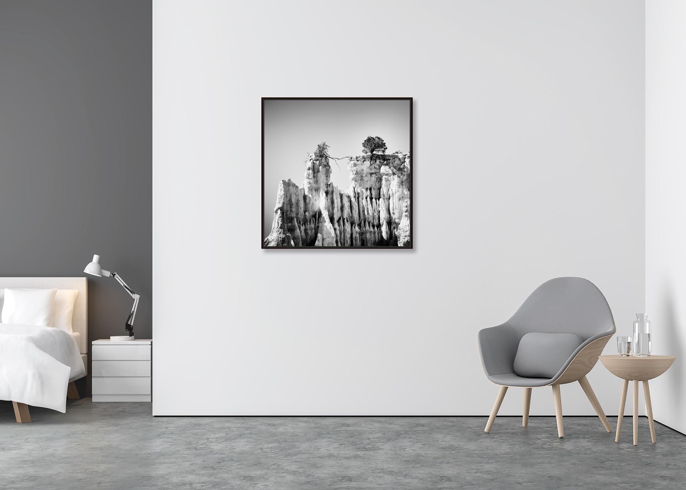 Organs of Ille-sur-Tet, Organ Pipes, black and white art photography, landscape - Contemporary Photograph by Gerald Berghammer