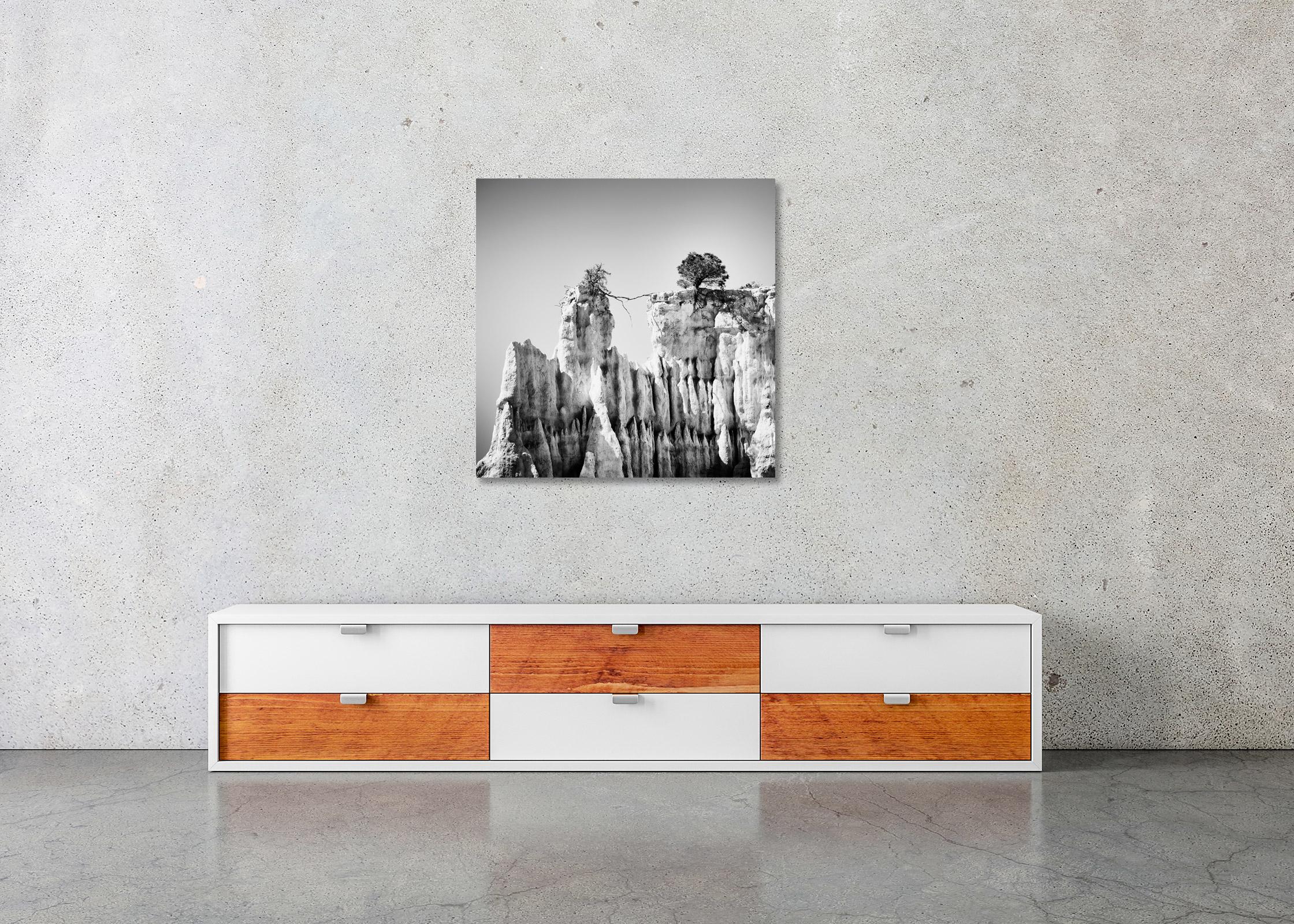 Organs of Ille-sur-Tet, Organ Pipes, black and white art photography, landscape For Sale 3