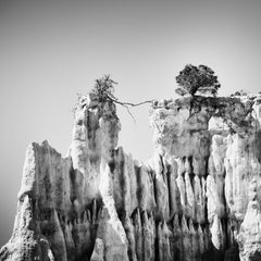 Organs of Ille-sur-Tet, Organ Pipes, black and white art photography, landscape