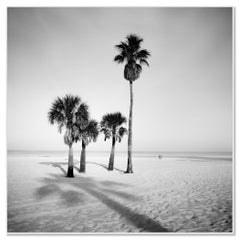 Palm Beach, Florida, monochrome Fotografie, limitierte Auflage, Kunstdruck USA