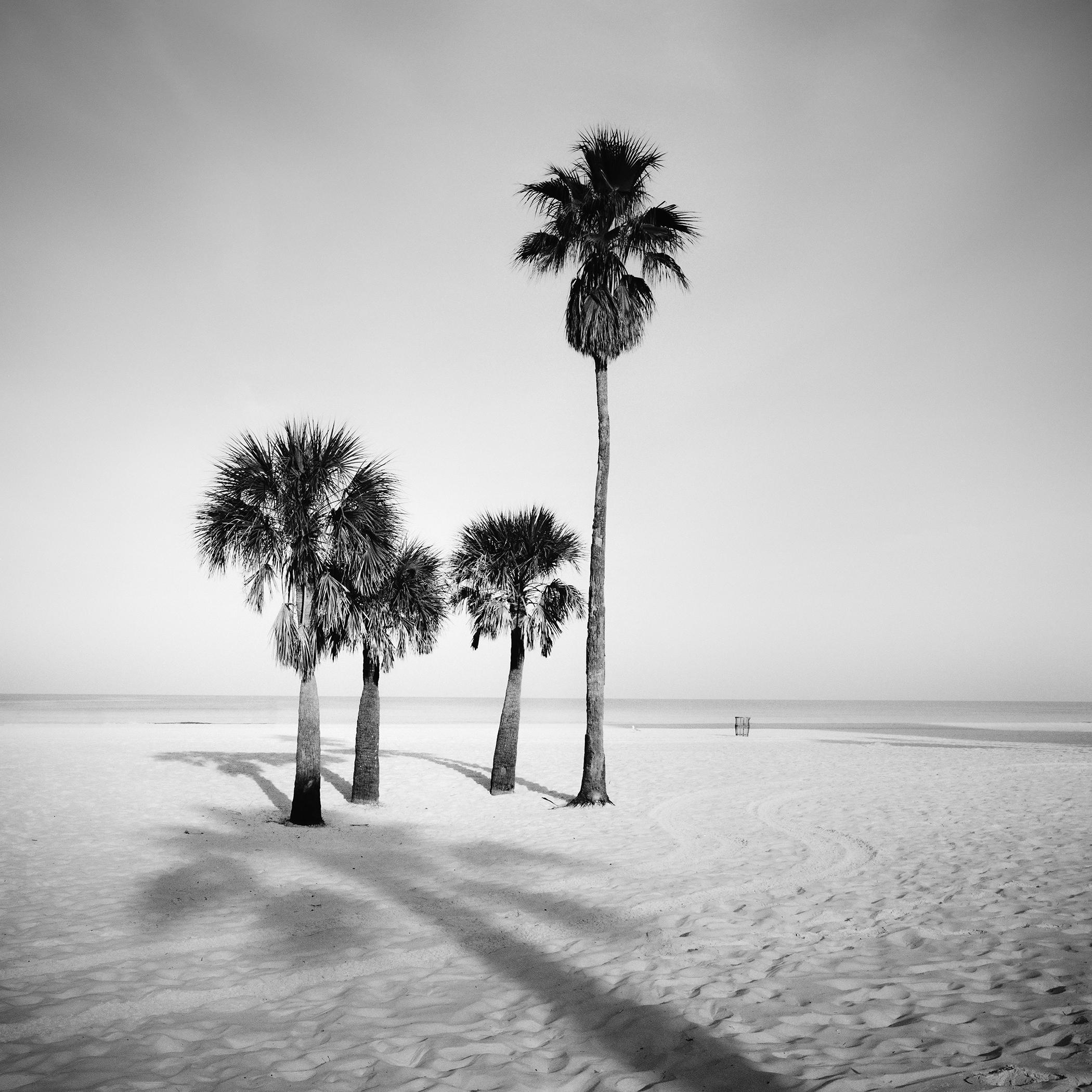 Minimalist Black and White Beach Landscape Photograph, Palm Trees, Florida, USA