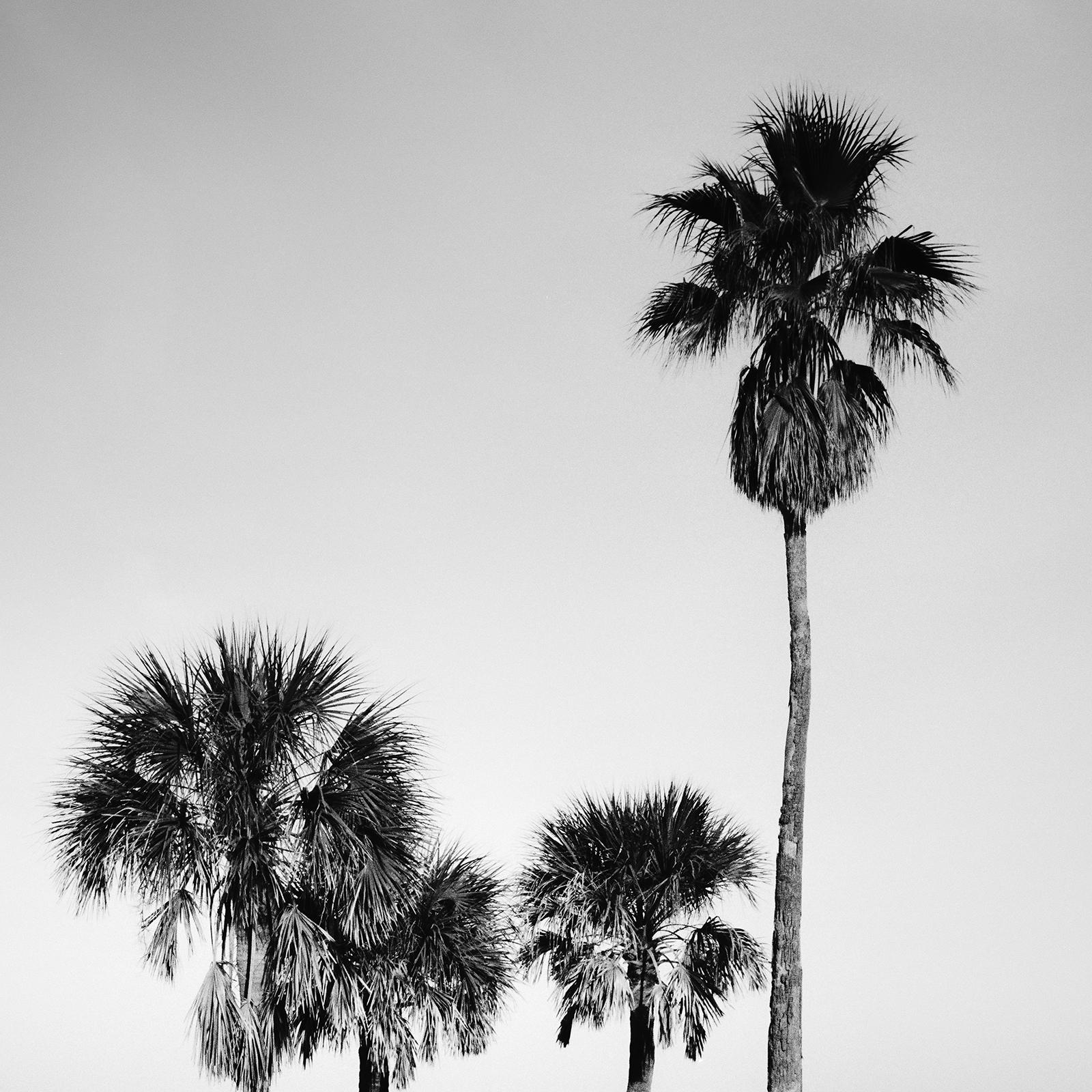Palm Beach, Florida, USA, black and white photography, fine art landscape  For Sale 6