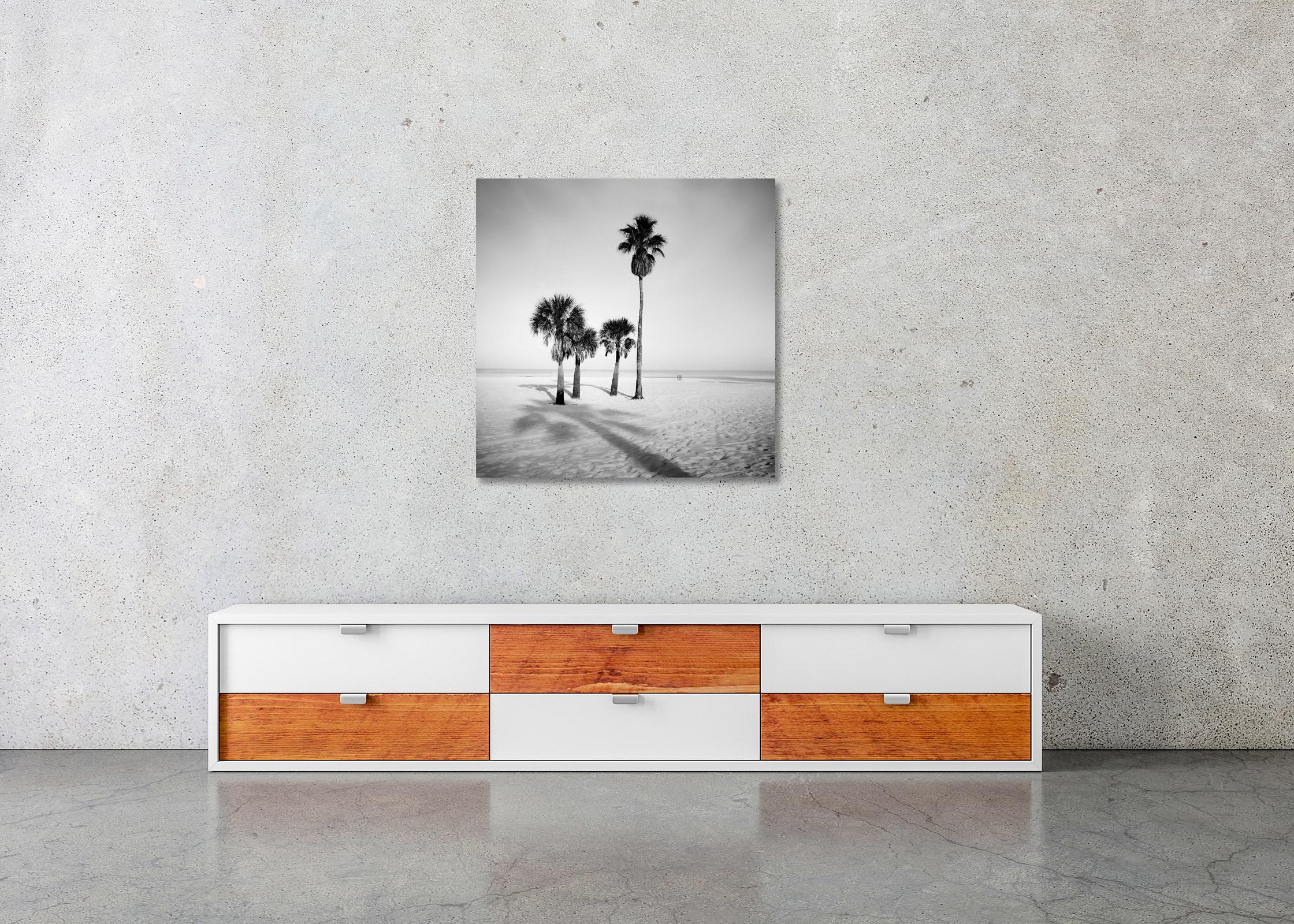 Palm Beach, Florida, USA, black and white photography, fine art landscape  For Sale 3