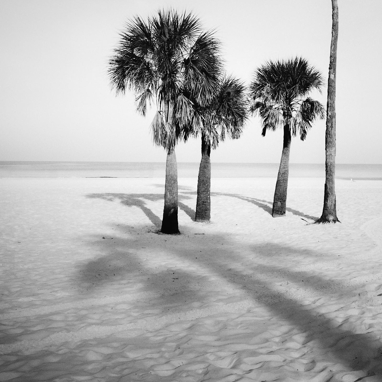 Palm Beach, Florida, USA, black and white photography, fine art landscape  For Sale 5