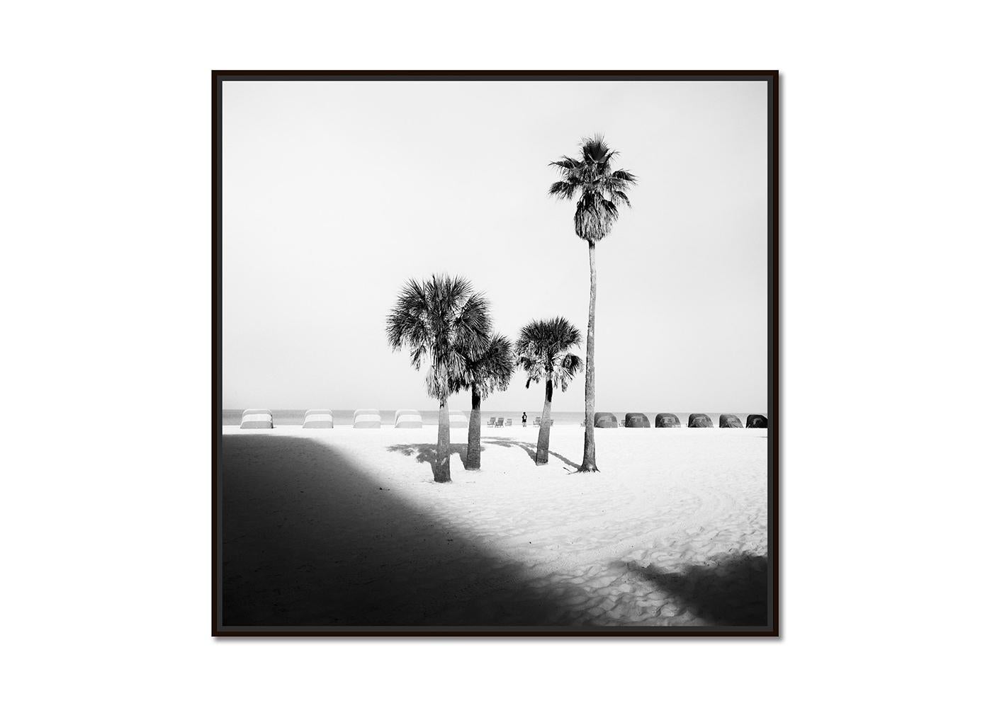 Palm Beach, Palm Tree, Florida, USA, Schwarz-Weiß-Fotografie, limitierte Auflage – Photograph von Gerald Berghammer