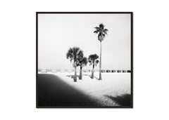 Palm Beach, Palm Tree, Florida, USA, black and white photograph, limited edition