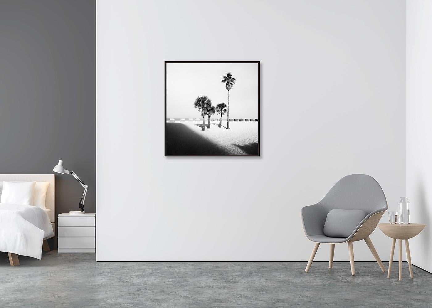 Palm Beach, Palm Tree, Florida, USA, Schwarz-Weiß-Fotografie, limitierte Auflage (Zeitgenössisch), Photograph, von Gerald Berghammer