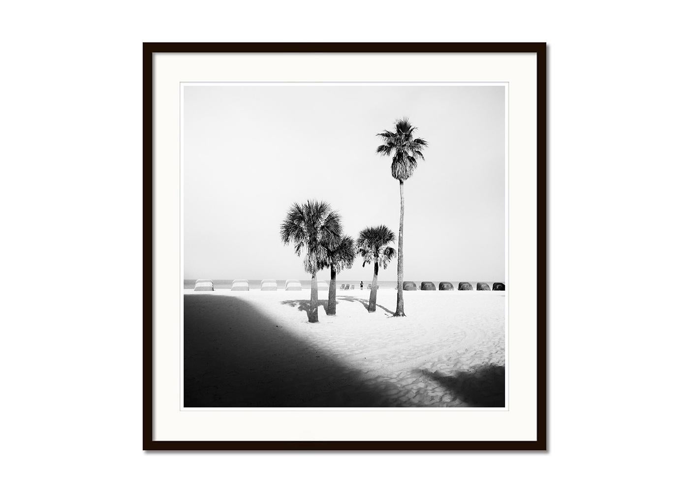 Palm Beach, Palm Tree, Florida, USA, Schwarz-Weiß-Fotografie, limitierte Auflage (Grau), Black and White Photograph, von Gerald Berghammer