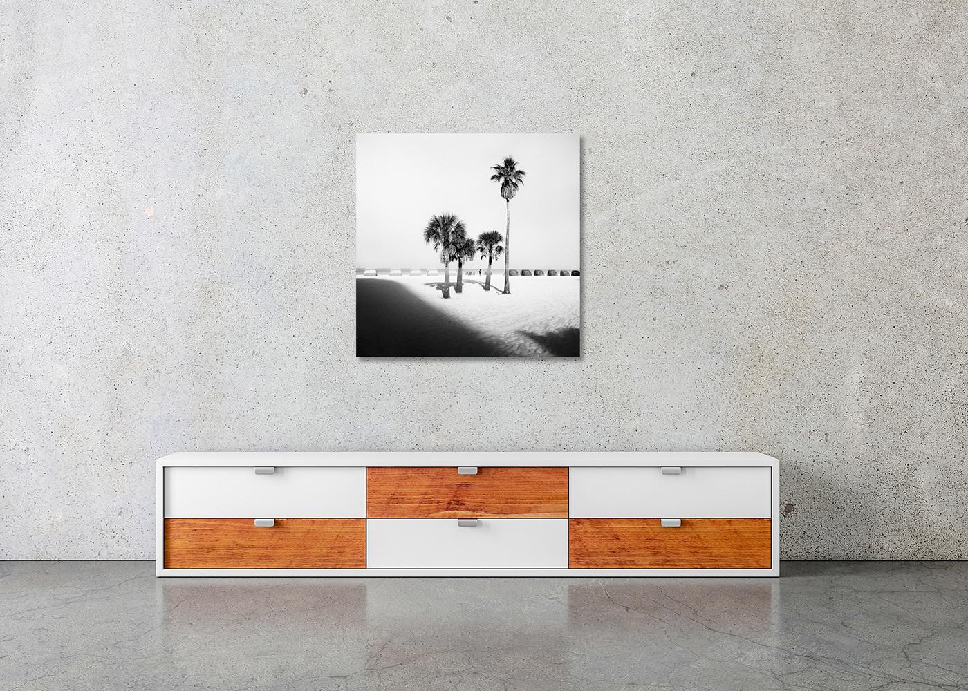 Palm Beach, Palm Tree, Florida, USA, Schwarz-Weiß-Fotografie, limitierte Auflage im Angebot 1