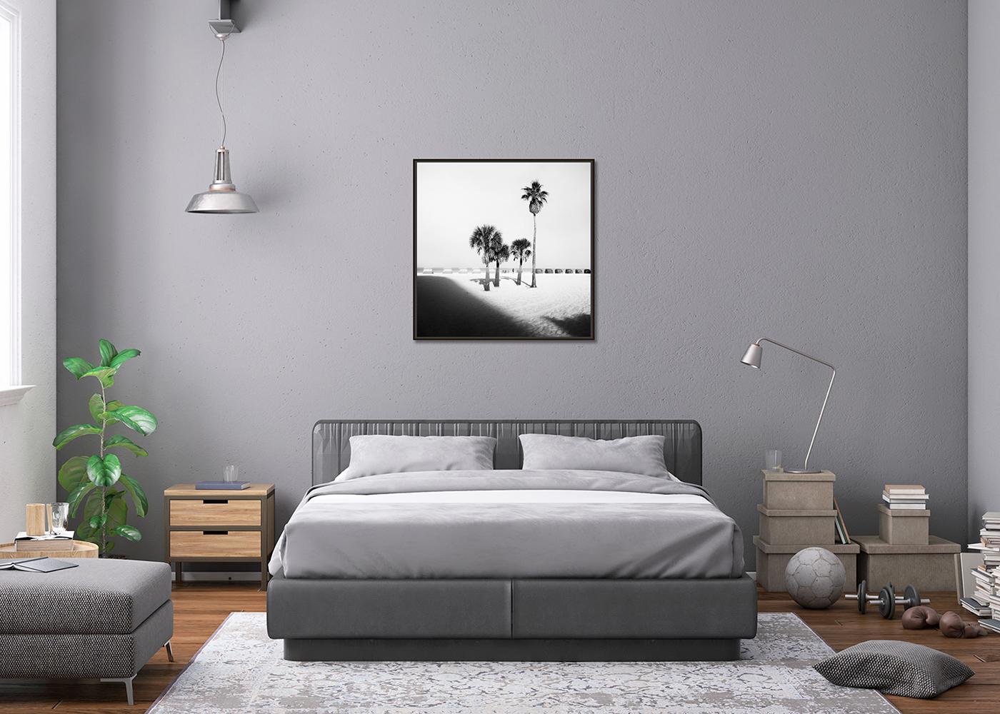 Palm Beach, Palm Tree, Florida, USA, Schwarz-Weiß-Fotografie, limitierte Auflage im Angebot 2