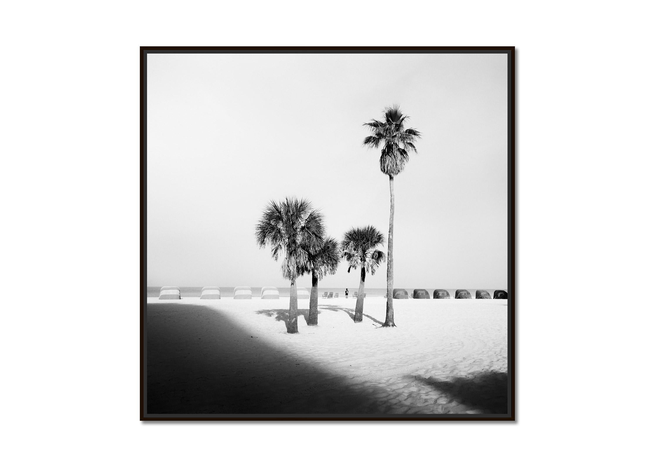 Palm Beach, Palm trees, Florida, USA, black and white fine art landscape print - Photograph by Gerald Berghammer
