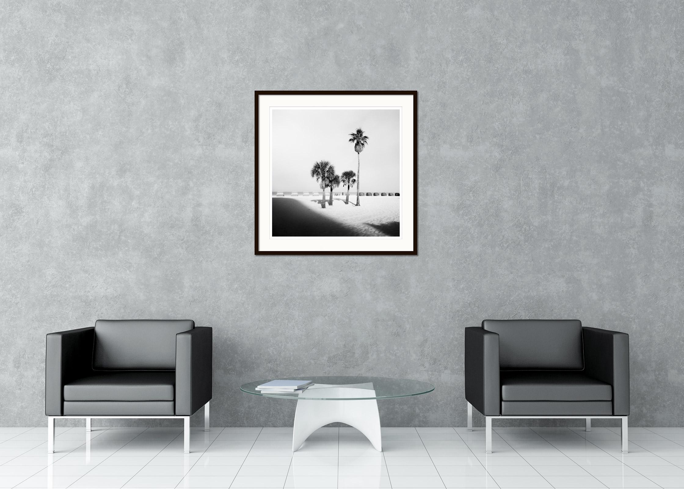 Palm Beach, Palm trees, Florida, USA, black and white fine art landscape print - Contemporary Photograph by Gerald Berghammer