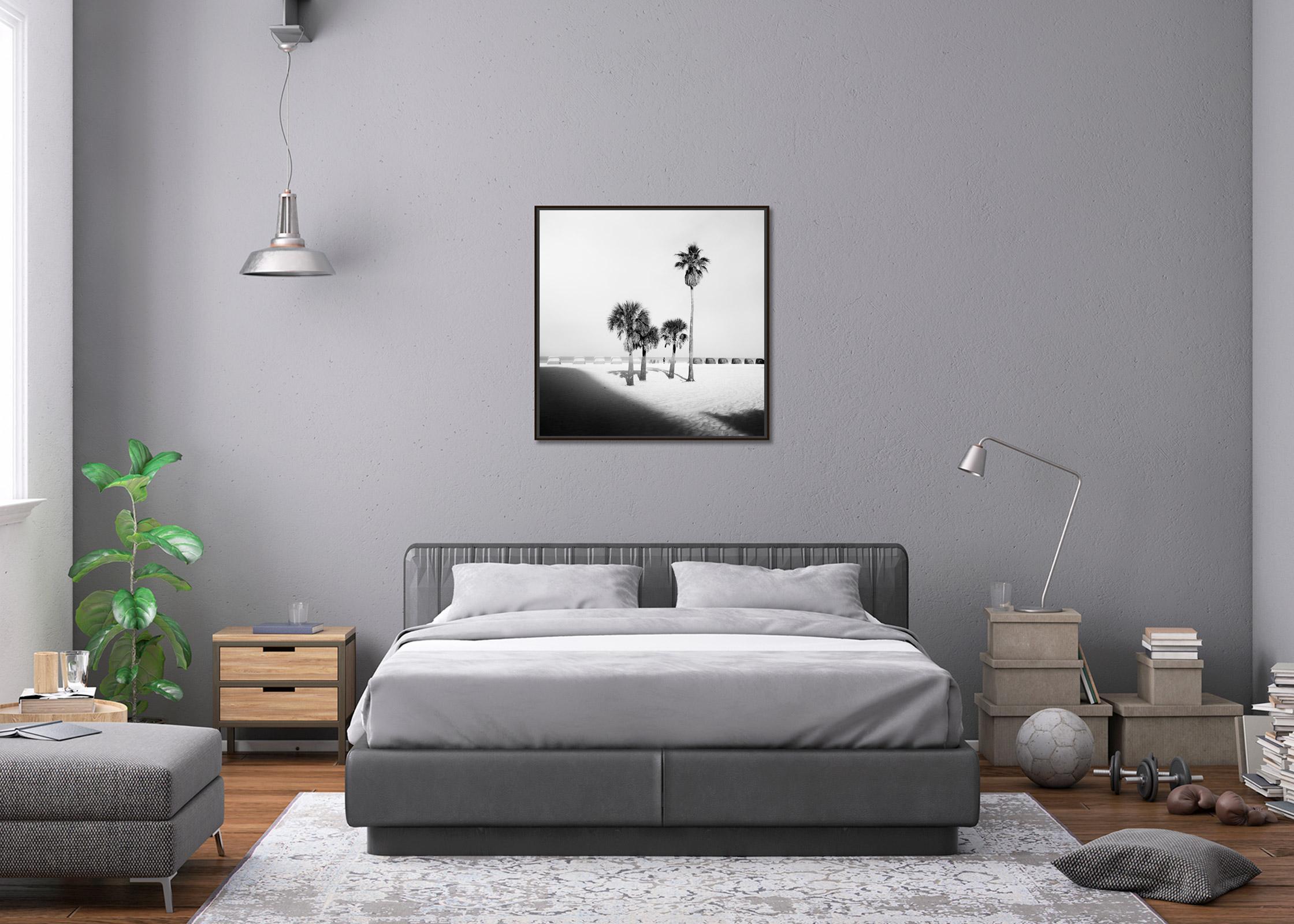 Palm Beach, Palm trees, Florida, USA, black and white fine art landscape print - Gray Black and White Photograph by Gerald Berghammer
