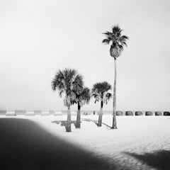 Palm Beach, palmiers, Floride, États-Unis, impression de paysage en noir et blanc
