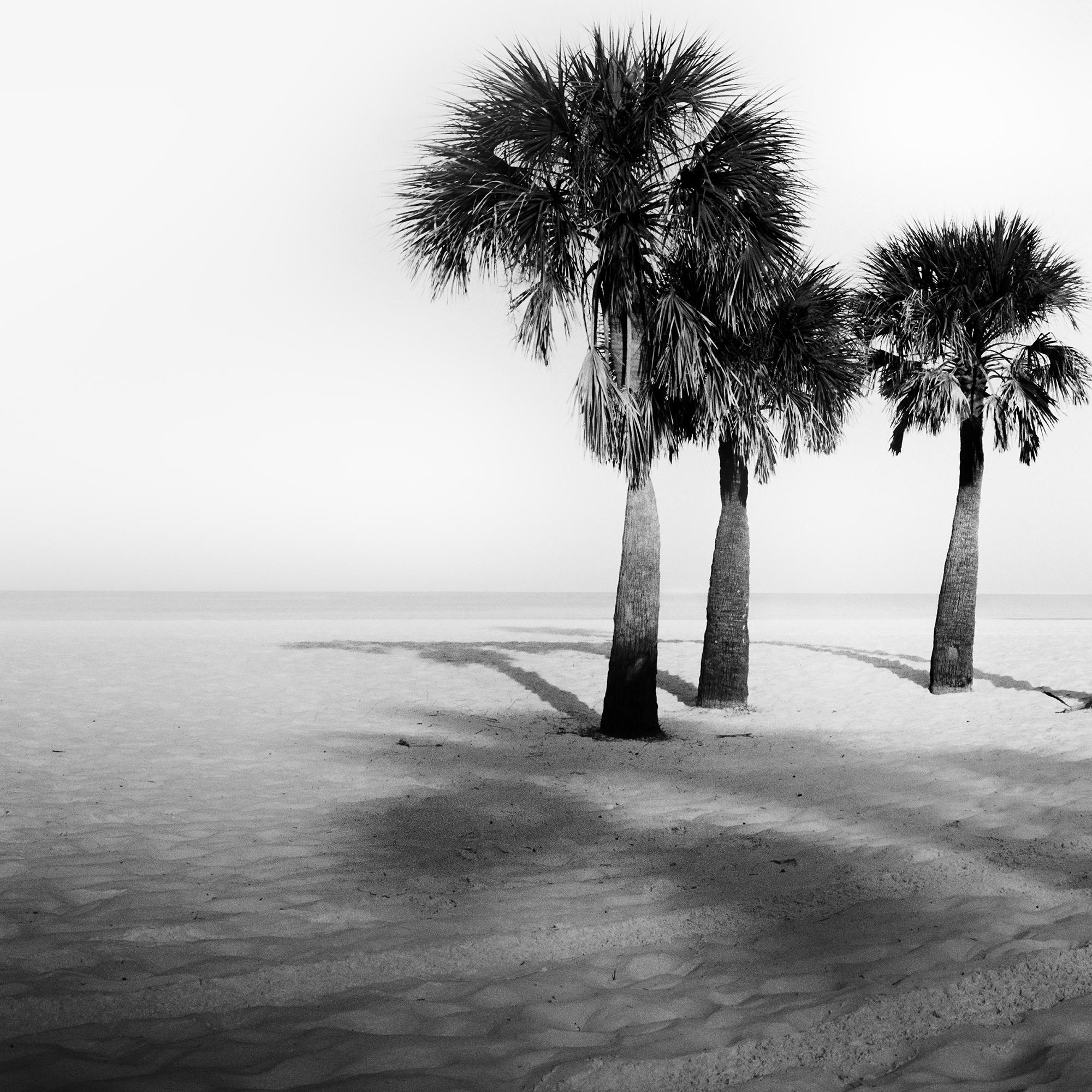 Palm Beach, Palms, Florida, USA, Schwarz-Weiß-Fotografie, limitierte Auflage im Angebot 5