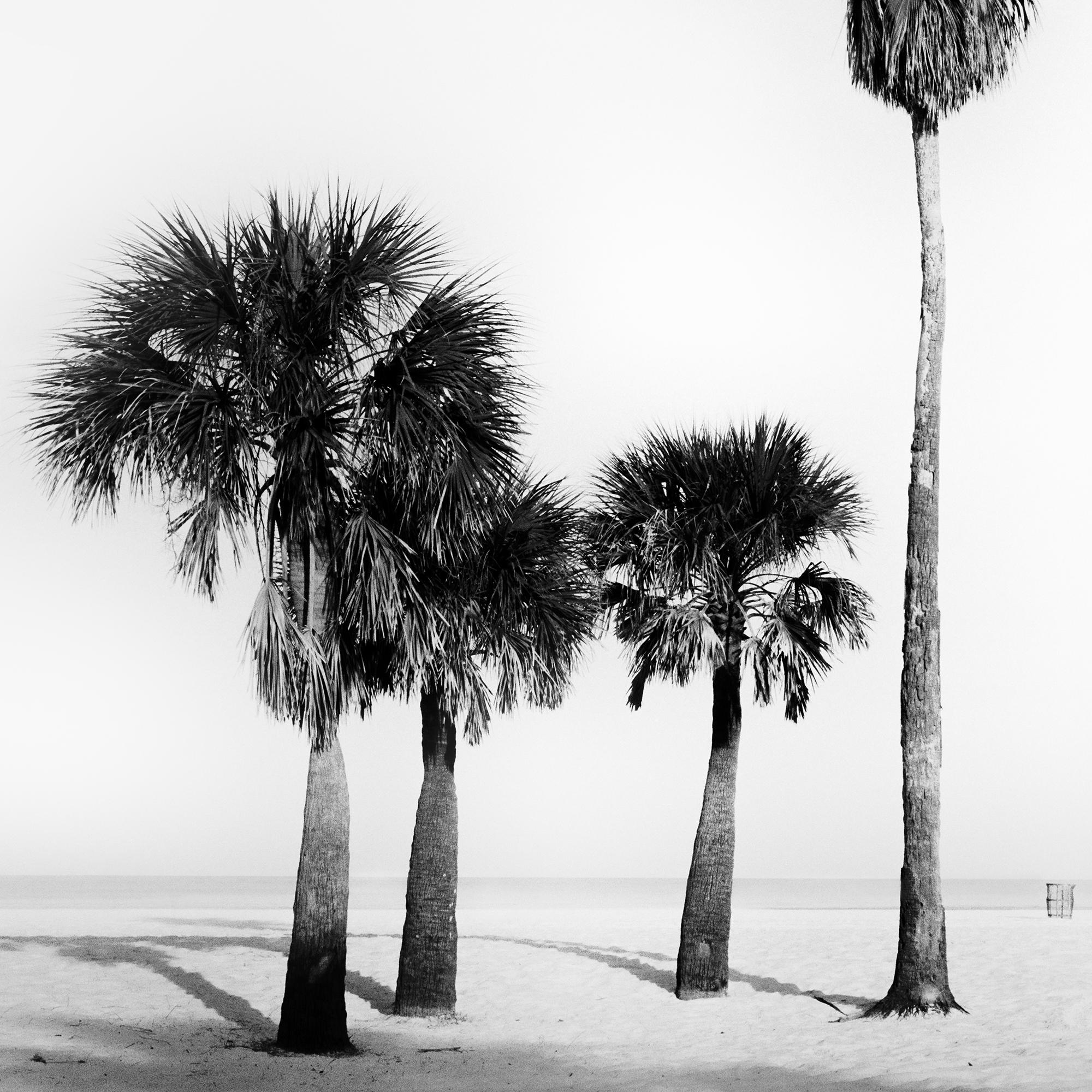 Palm Beach, Palms, Florida, USA, Schwarz-Weiß-Fotografie, limitierte Auflage im Angebot 7