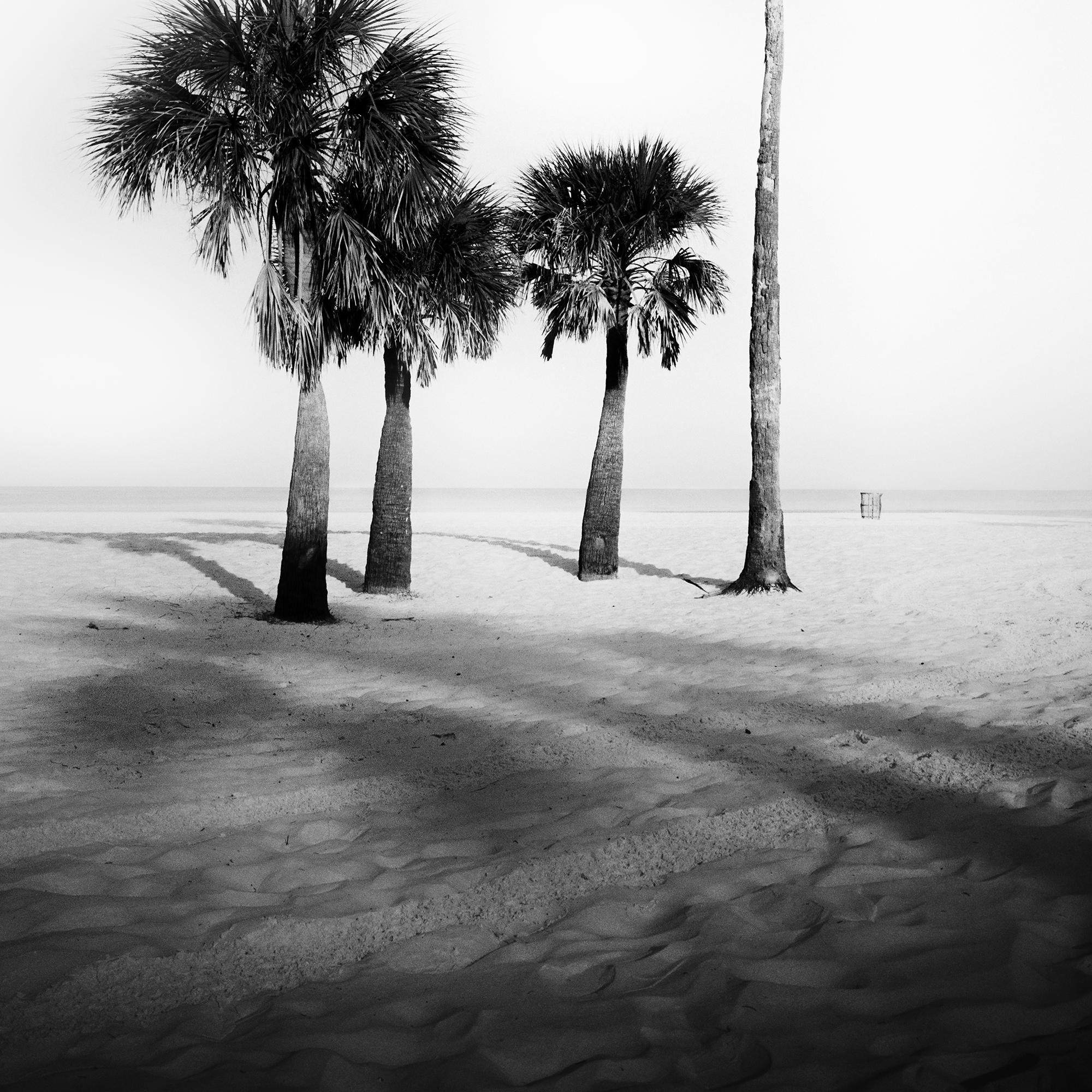 Palm Beach, Palms, Florida, USA, Schwarz-Weiß-Fotografie, limitierte Auflage im Angebot 6
