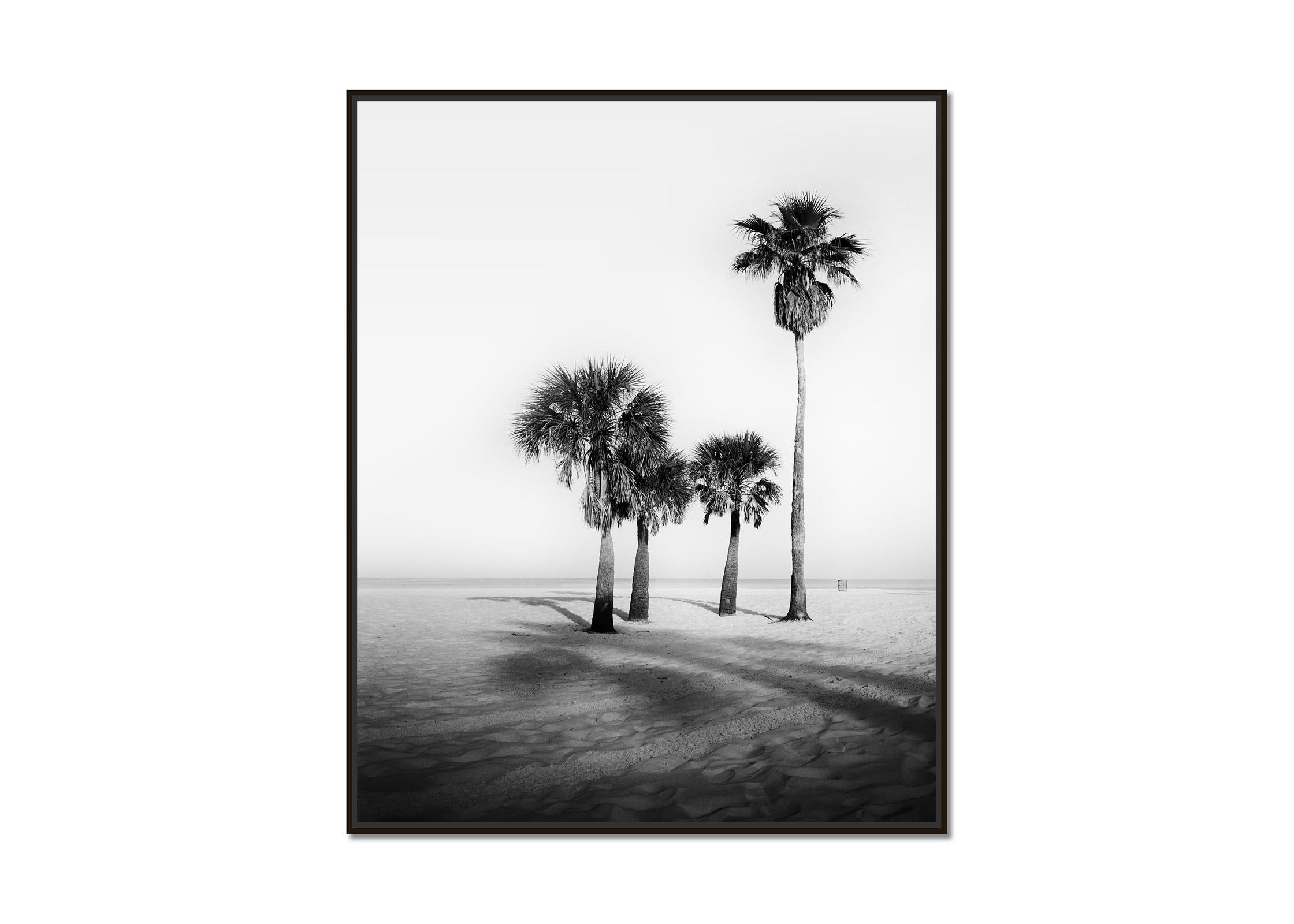 Palm Beach, Palm Trees, Florida, USA, black and white photography, art landscape - Photograph by Gerald Berghammer