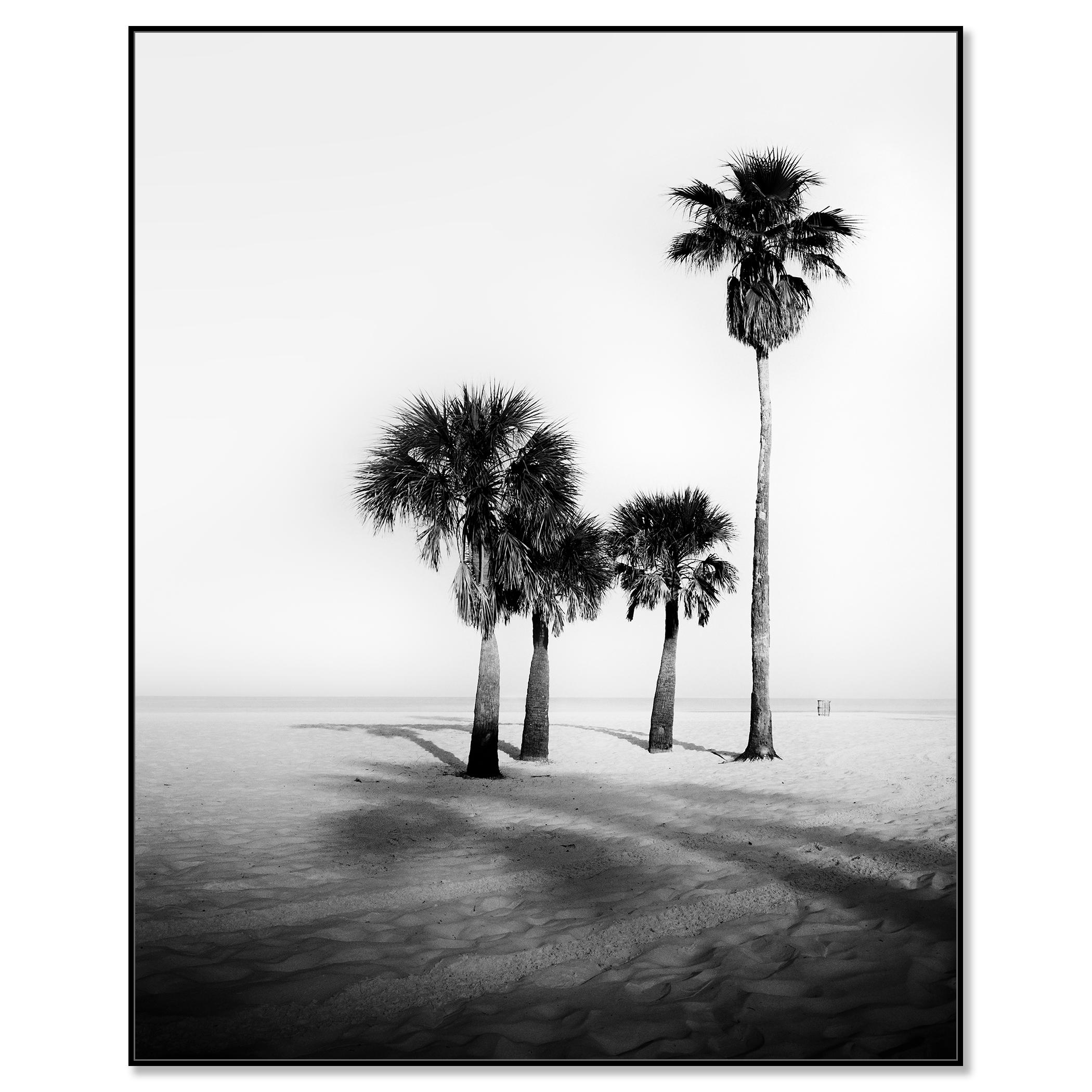 Palm Beach, Palms, Florida, USA, Schwarz-Weiß-Fotografie, limitierte Auflage – Photograph von Gerald Berghammer