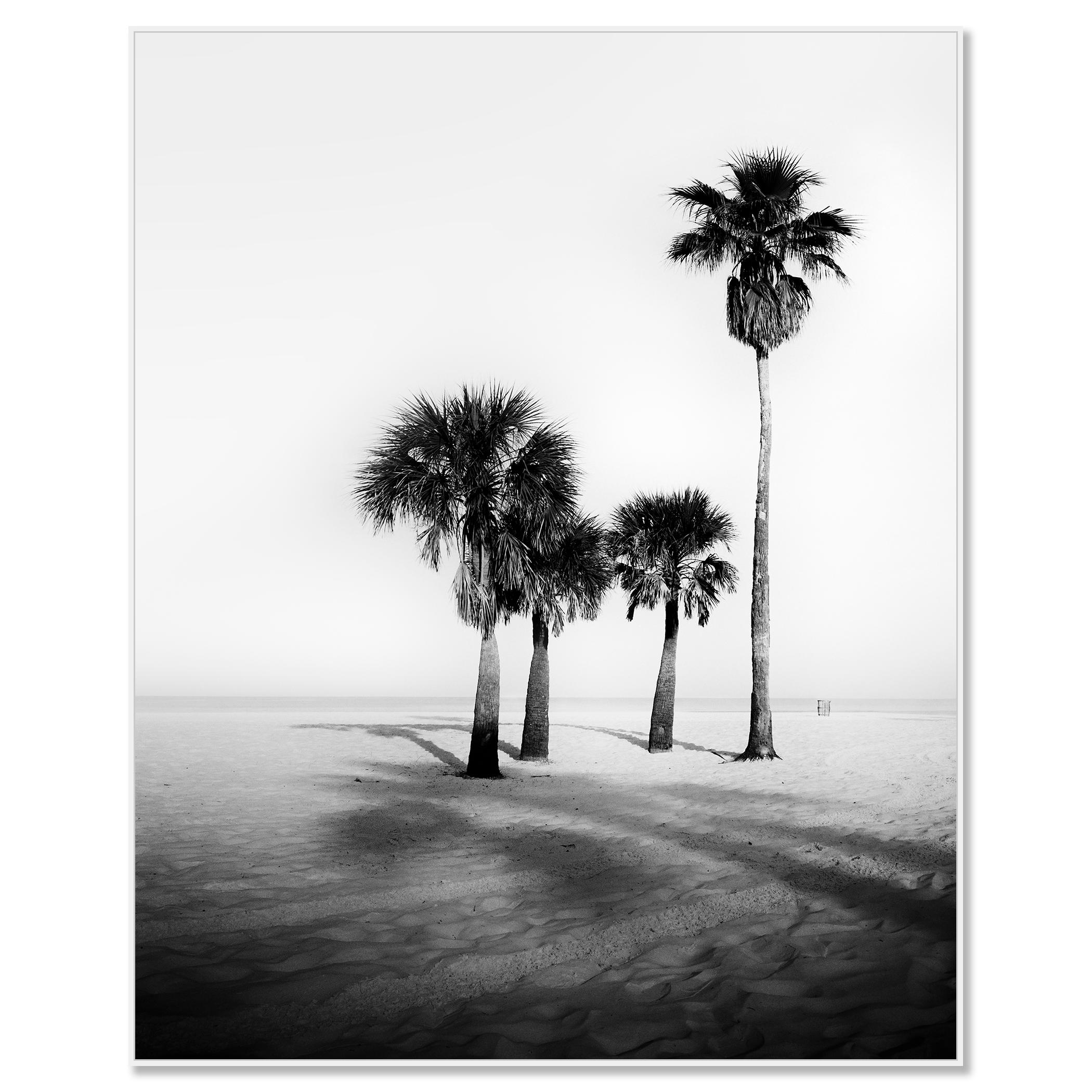 Palm Beach, Palms, Florida, USA, Schwarz-Weiß-Fotografie, limitierte Auflage (Zeitgenössisch), Photograph, von Gerald Berghammer