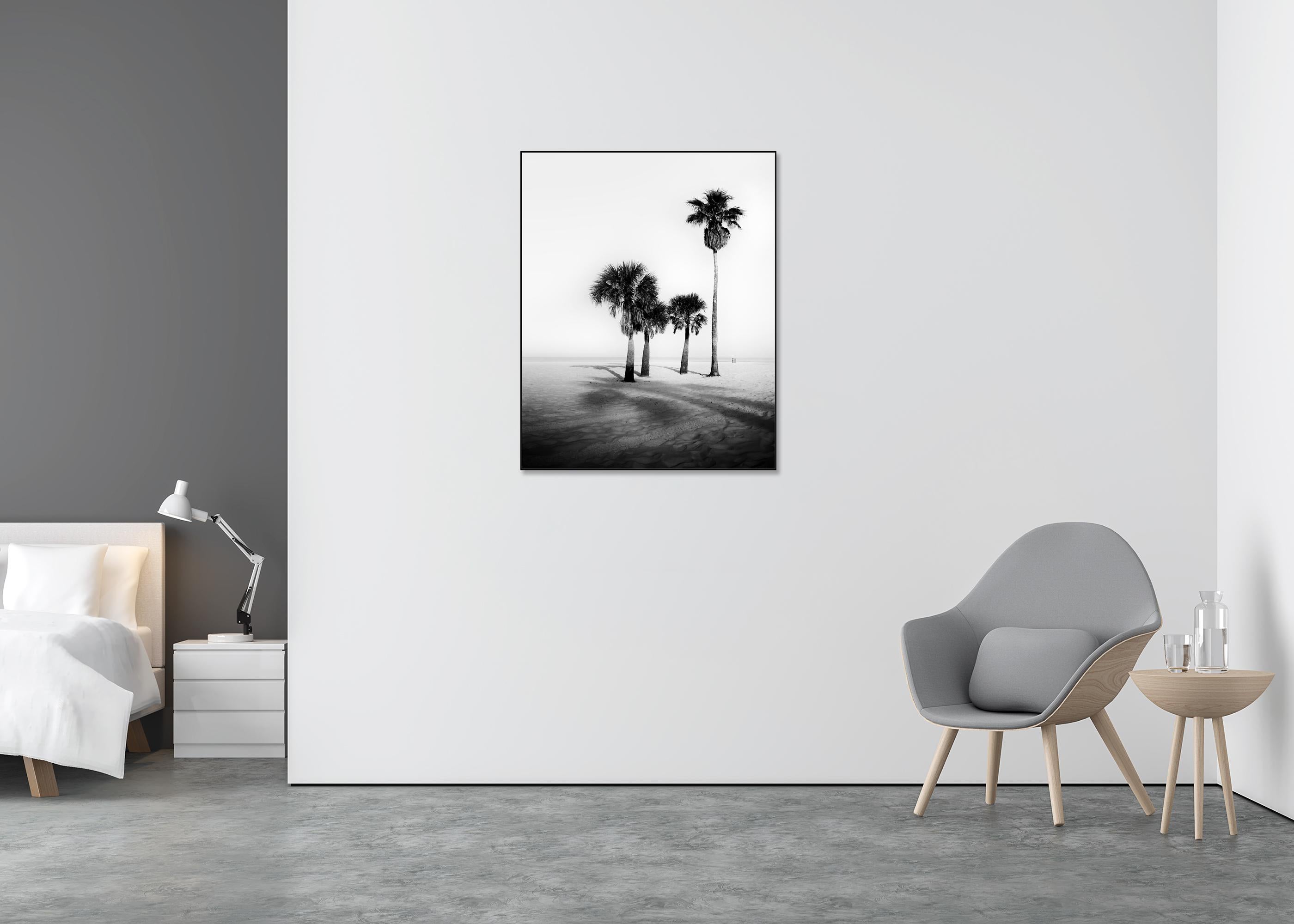 Palm Beach, Palms, Florida, USA, Schwarz-Weiß-Fotografie, limitierte Auflage (Grau), Black and White Photograph, von Gerald Berghammer