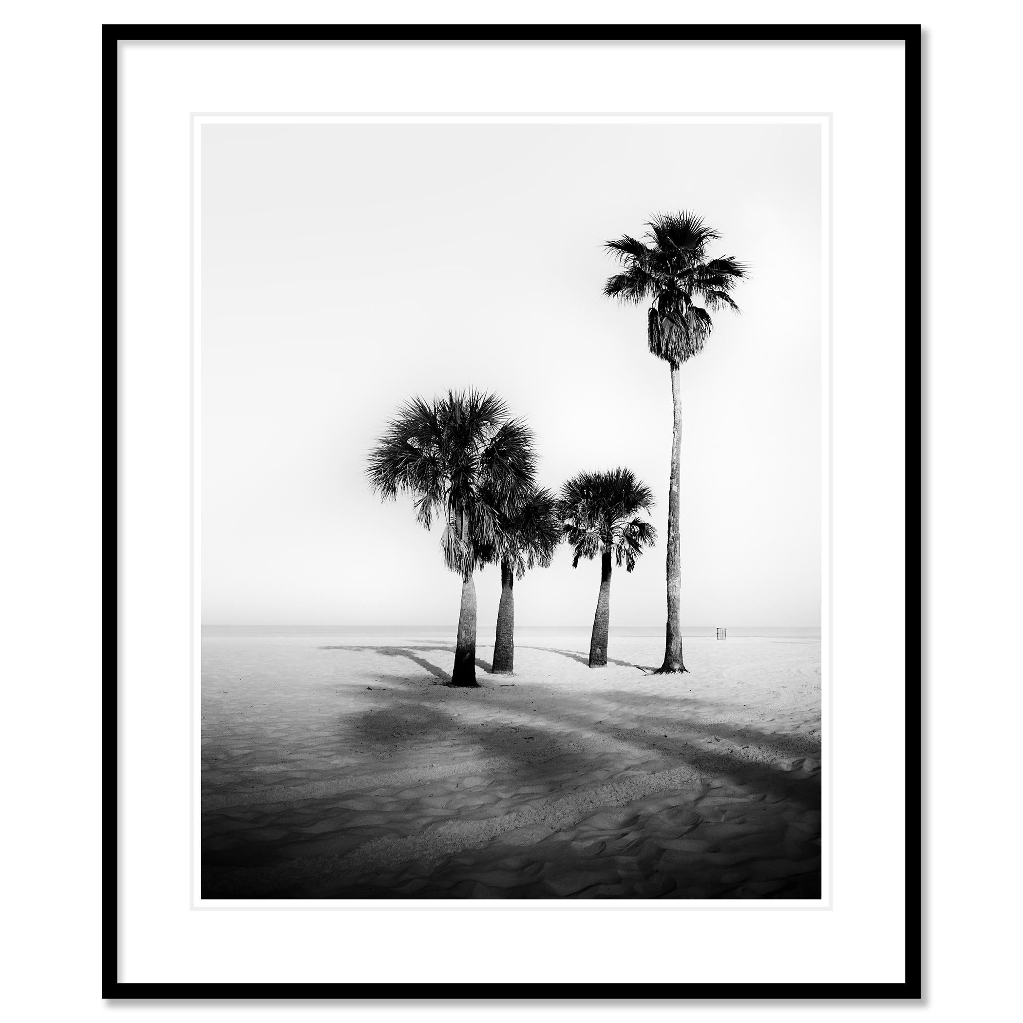 Schwarz-Weiß-Fotografie im Großformat. Palmen, Strand, Morgenstimmung, Florida, USA. Pigmenttintendruck, Auflage 9, signiert, betitelt, datiert und nummeriert vom Künstler. Mit Echtheitszertifikat. Bedruckt mit einem 4 cm breiten weißen