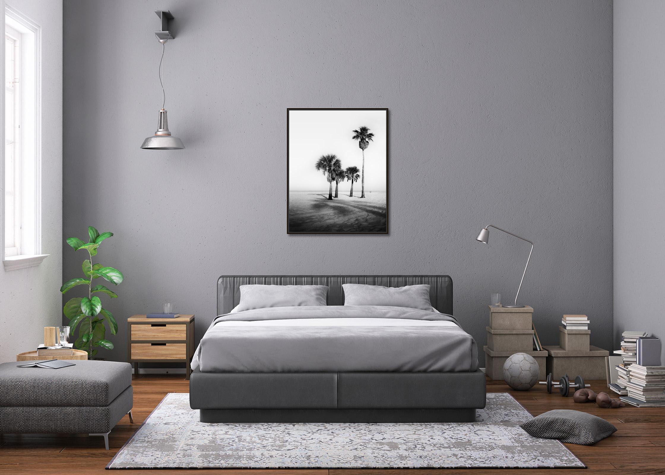 Palm Beach, Palm Trees, Florida, USA, black and white photography, art landscape - Contemporary Photograph by Gerald Berghammer