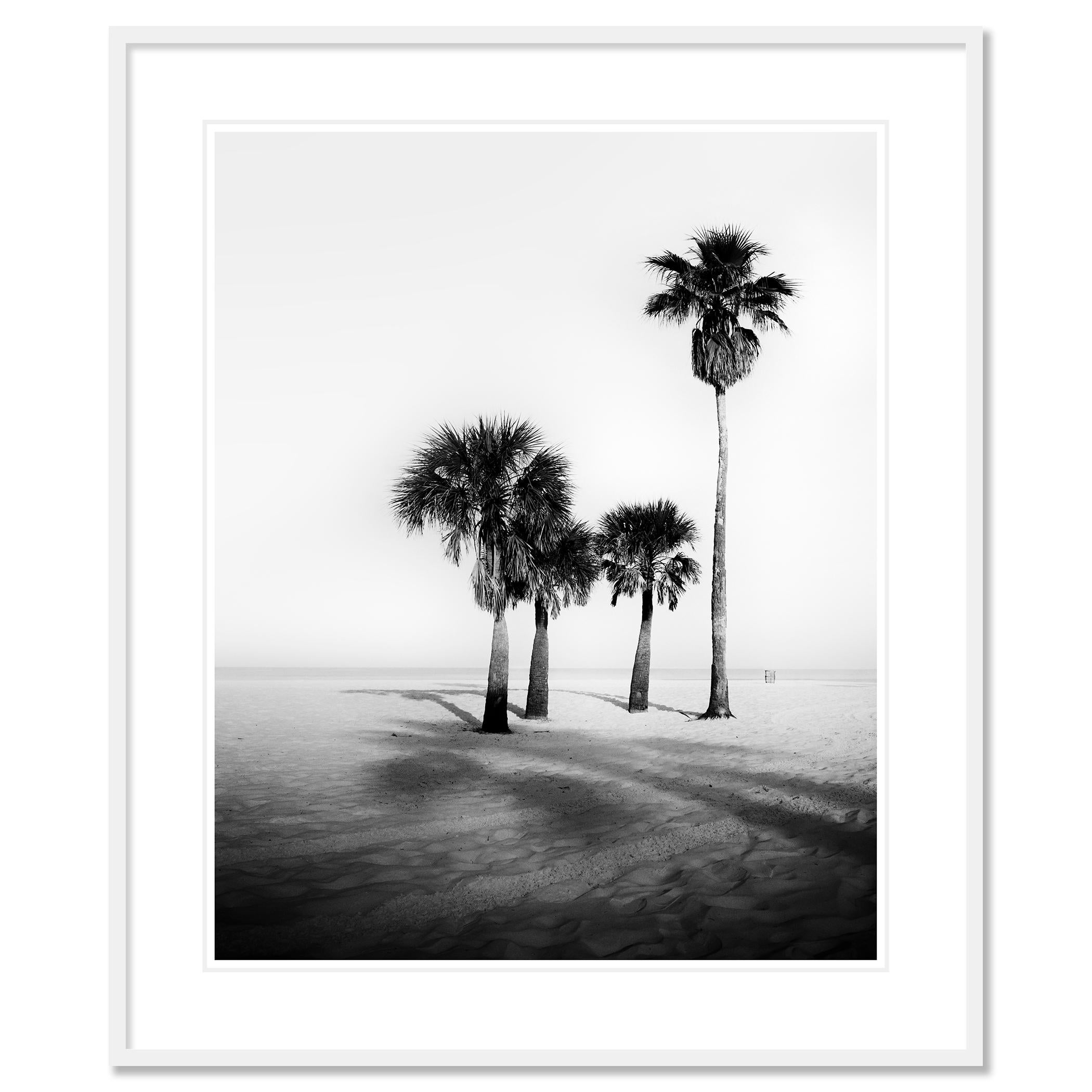Palm Beach, Palms, Florida, USA, Schwarz-Weiß-Fotografie, limitierte Auflage im Angebot 1