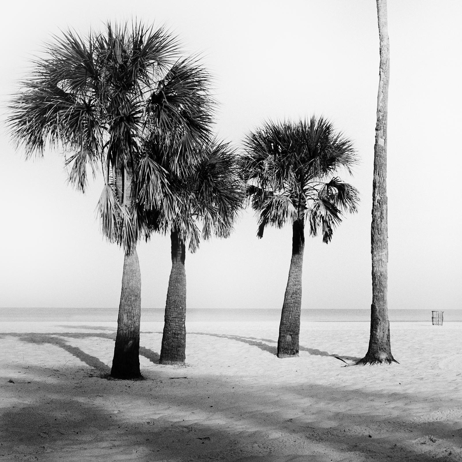 Palm Beach, Palm Trees, Florida, USA, black and white photography, art landscape For Sale 1