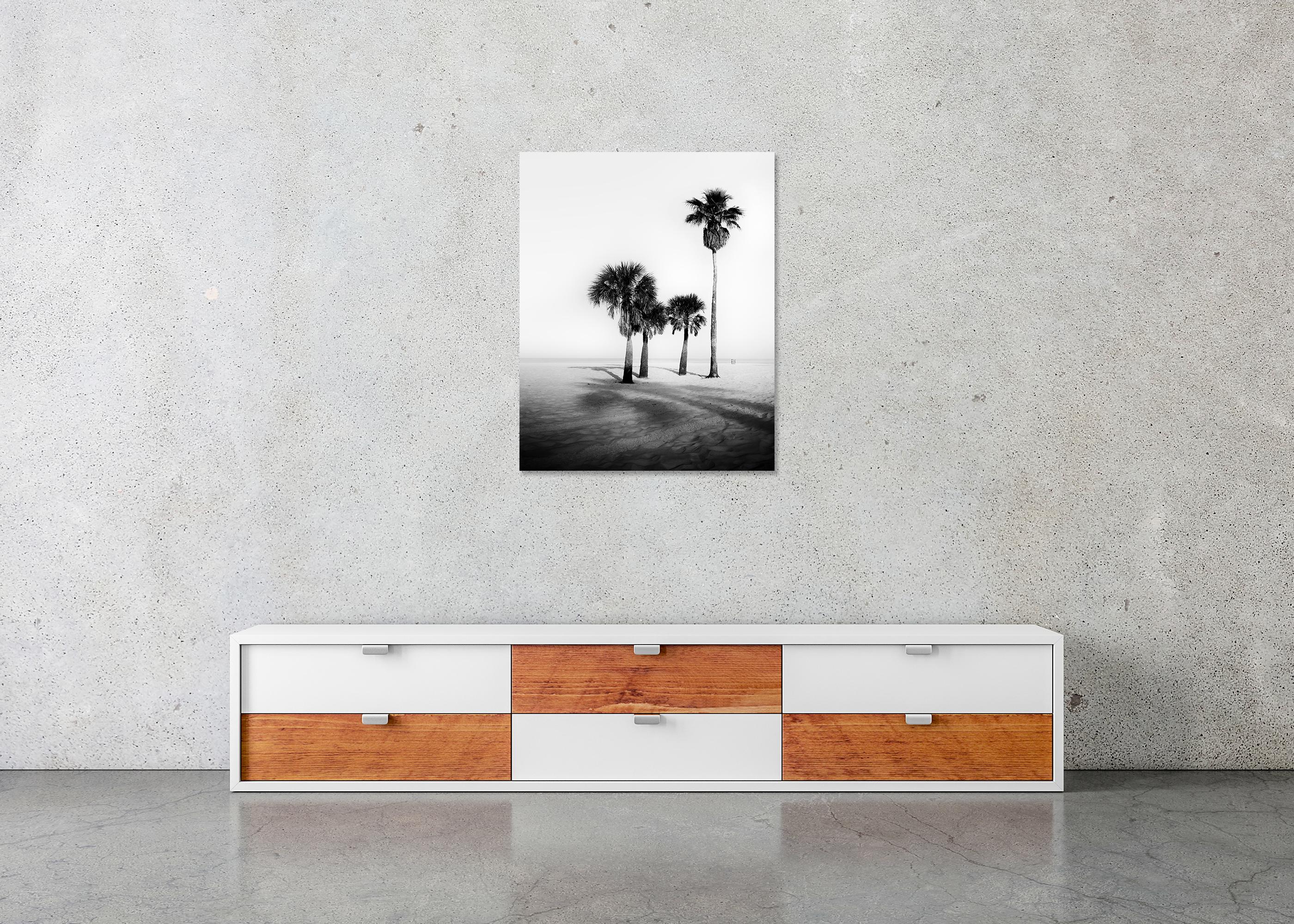 Palm Beach, Palms, Florida, USA, Schwarz-Weiß-Fotografie, limitierte Auflage im Angebot 4