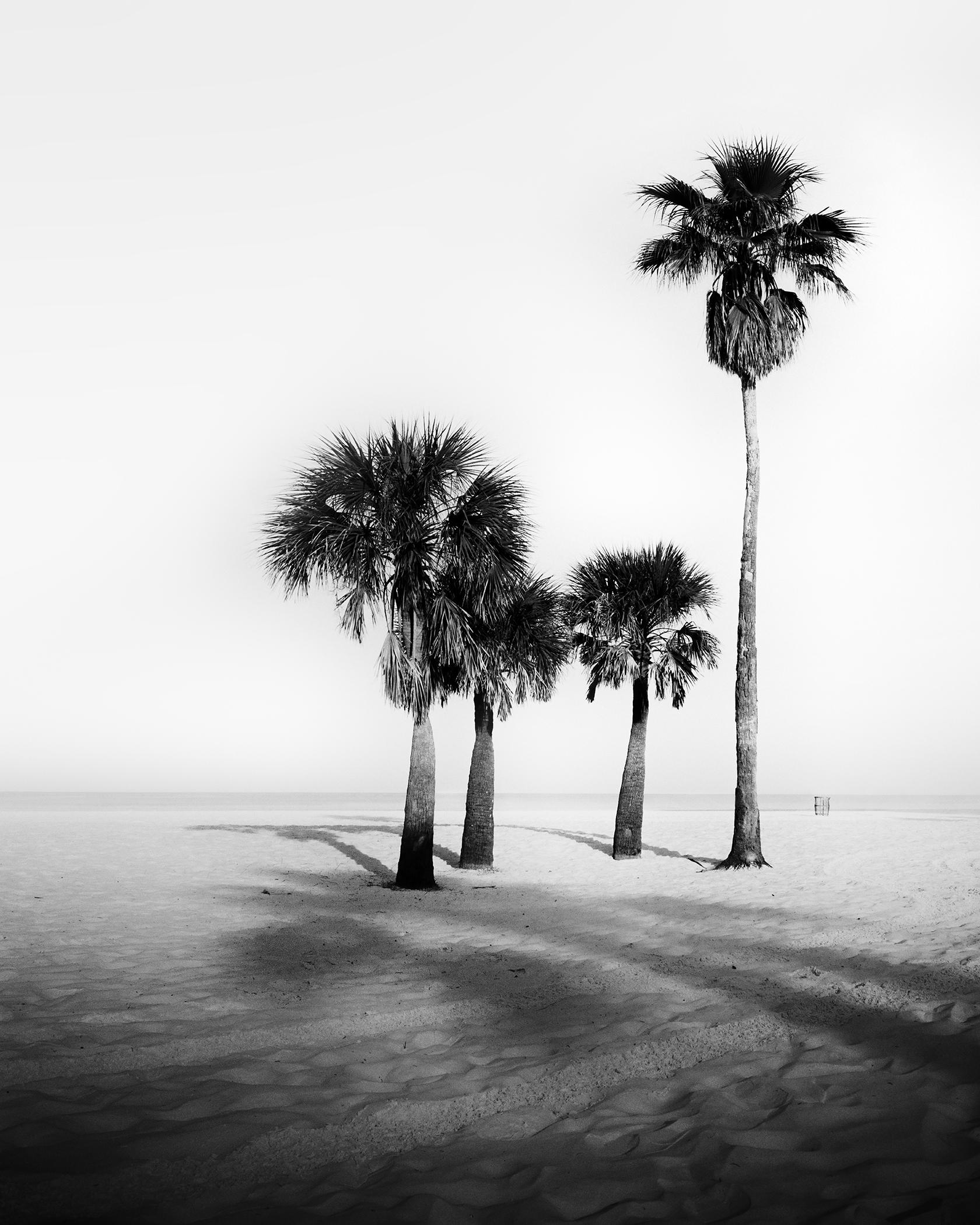 Gerald Berghammer Black and White Photograph – Palm Beach, Palms, Florida, USA, Schwarz-Weiß-Fotografie, limitierte Auflage