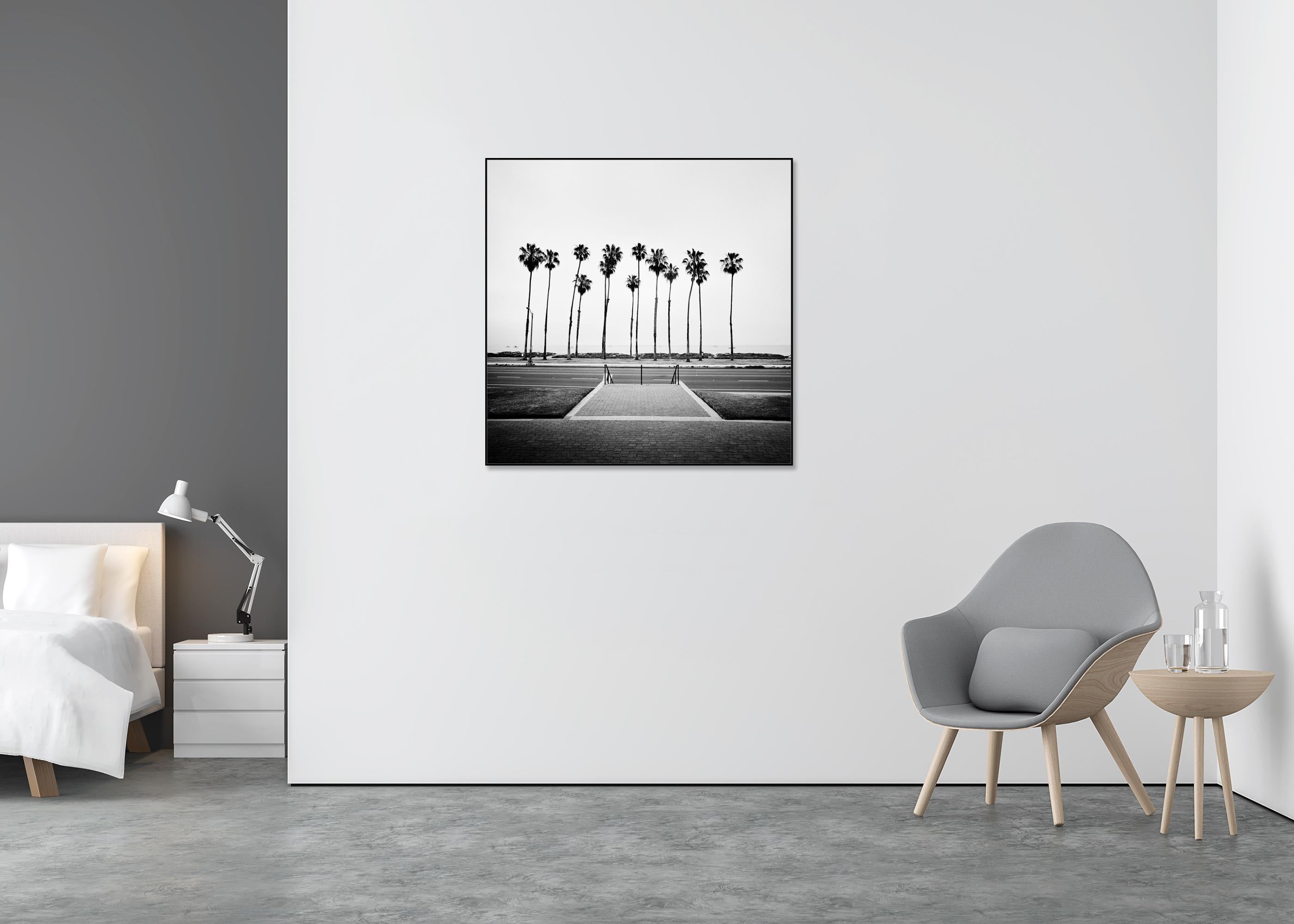 Palmera, Calle, EE.UU., fotografía de edición limitada, paisaje de playa en venta 5