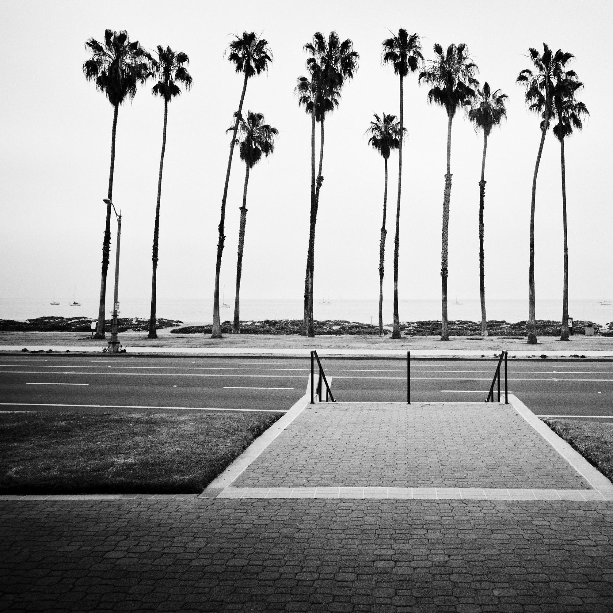 Palmera, Calle, EE.UU., fotografía de edición limitada, paisaje de playa en venta 6