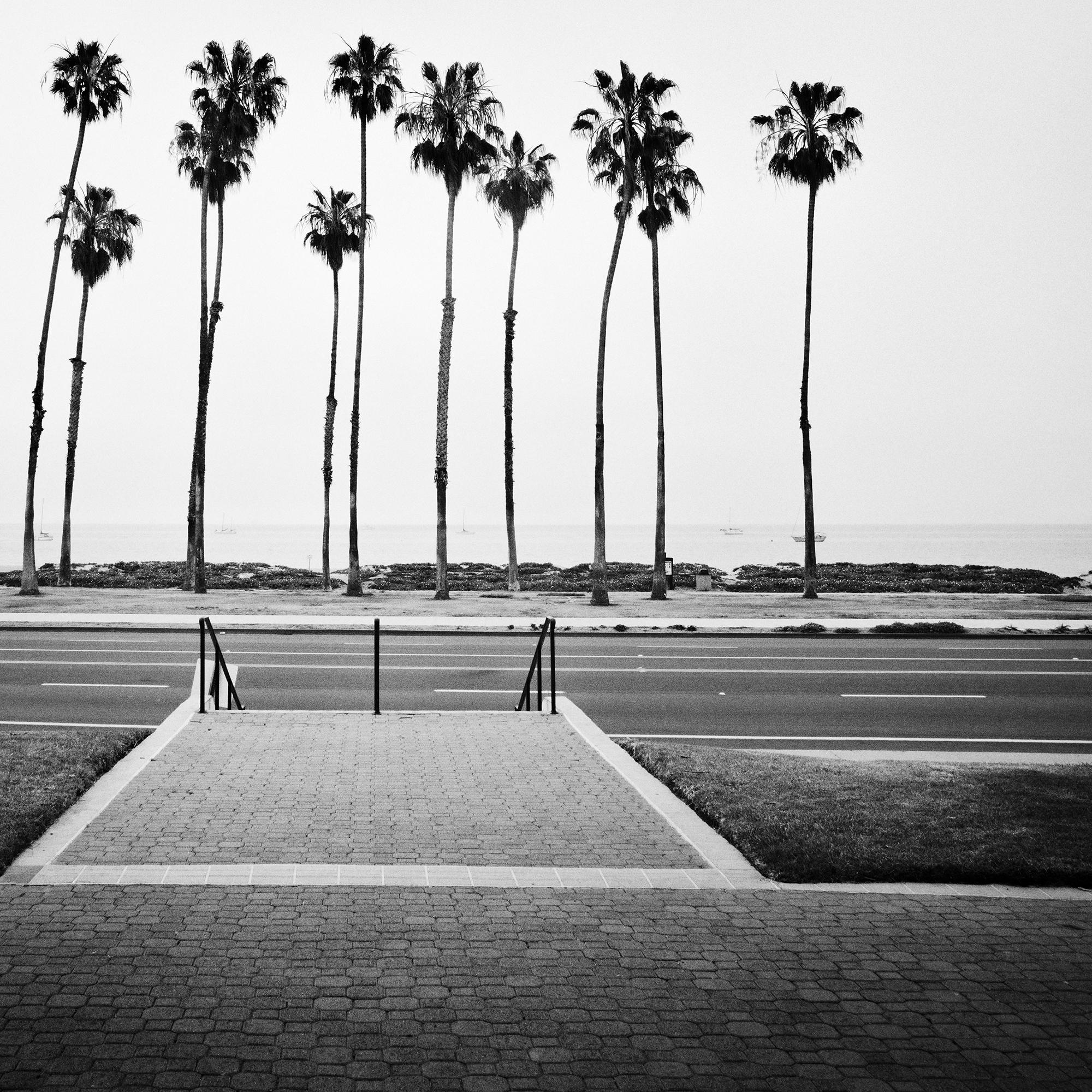 Palmera, Calle, EE.UU., fotografía de edición limitada, paisaje de playa en venta 7