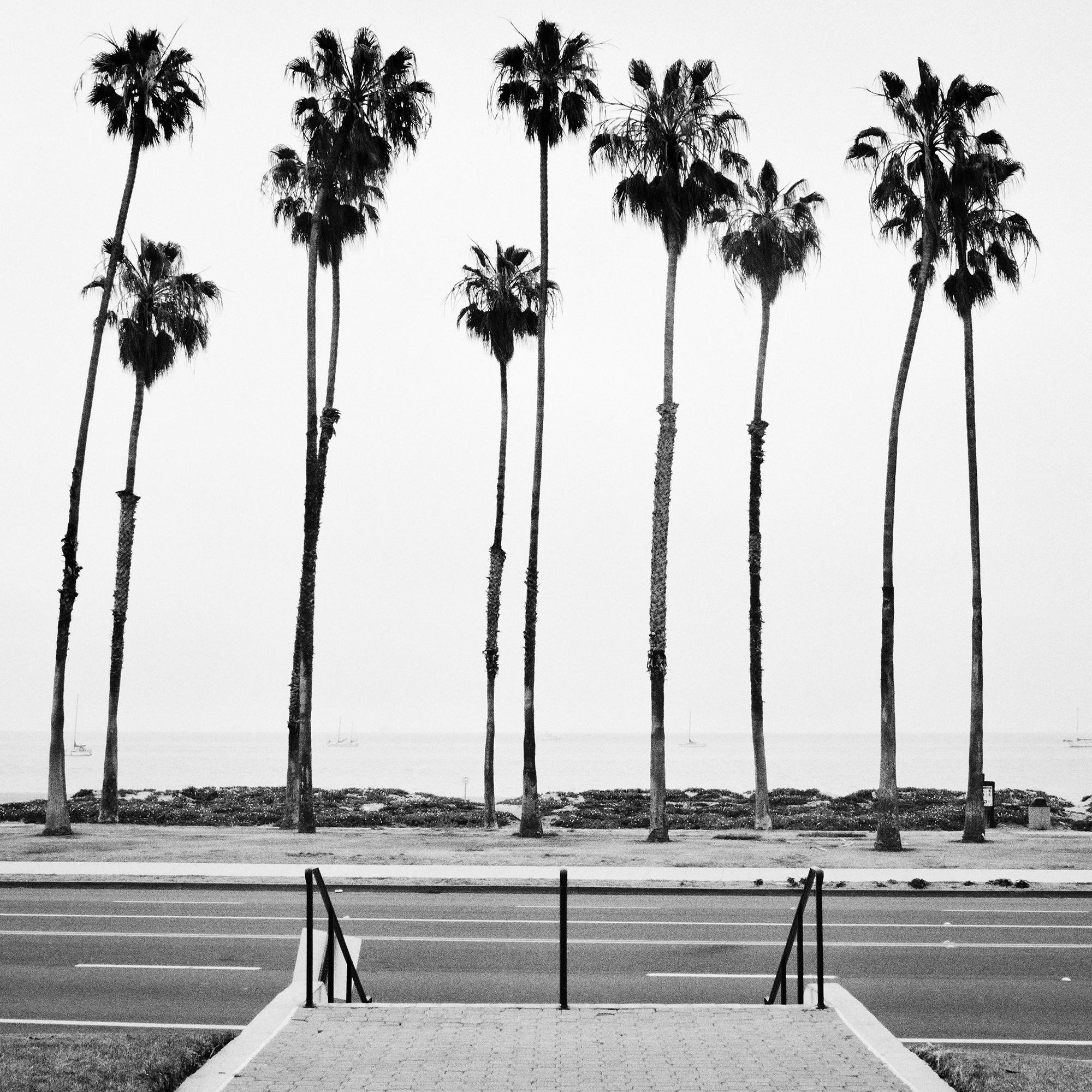 Palmera, Calle, EE.UU., fotografía de edición limitada, paisaje de playa en venta 8